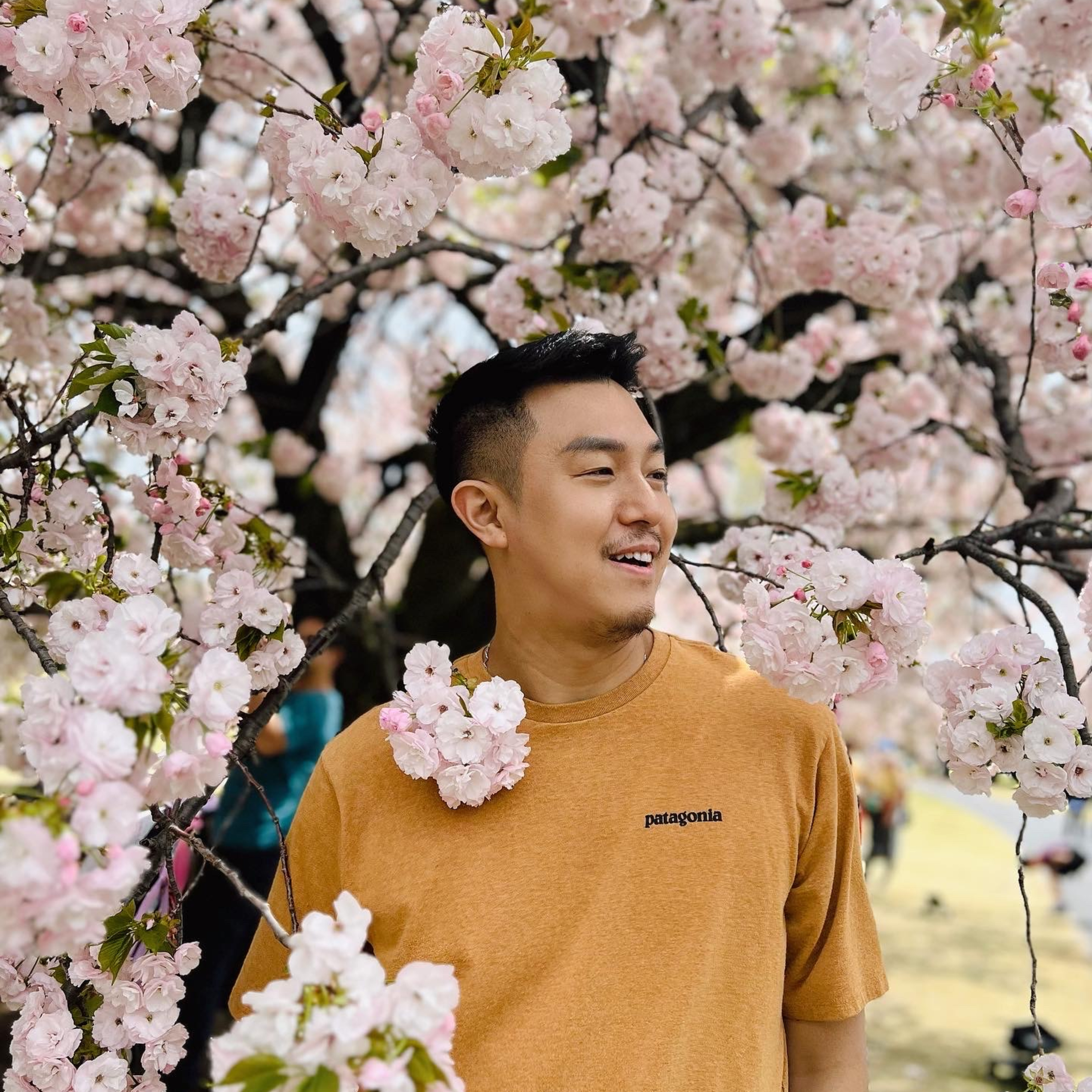 DJ懂吃懂吃