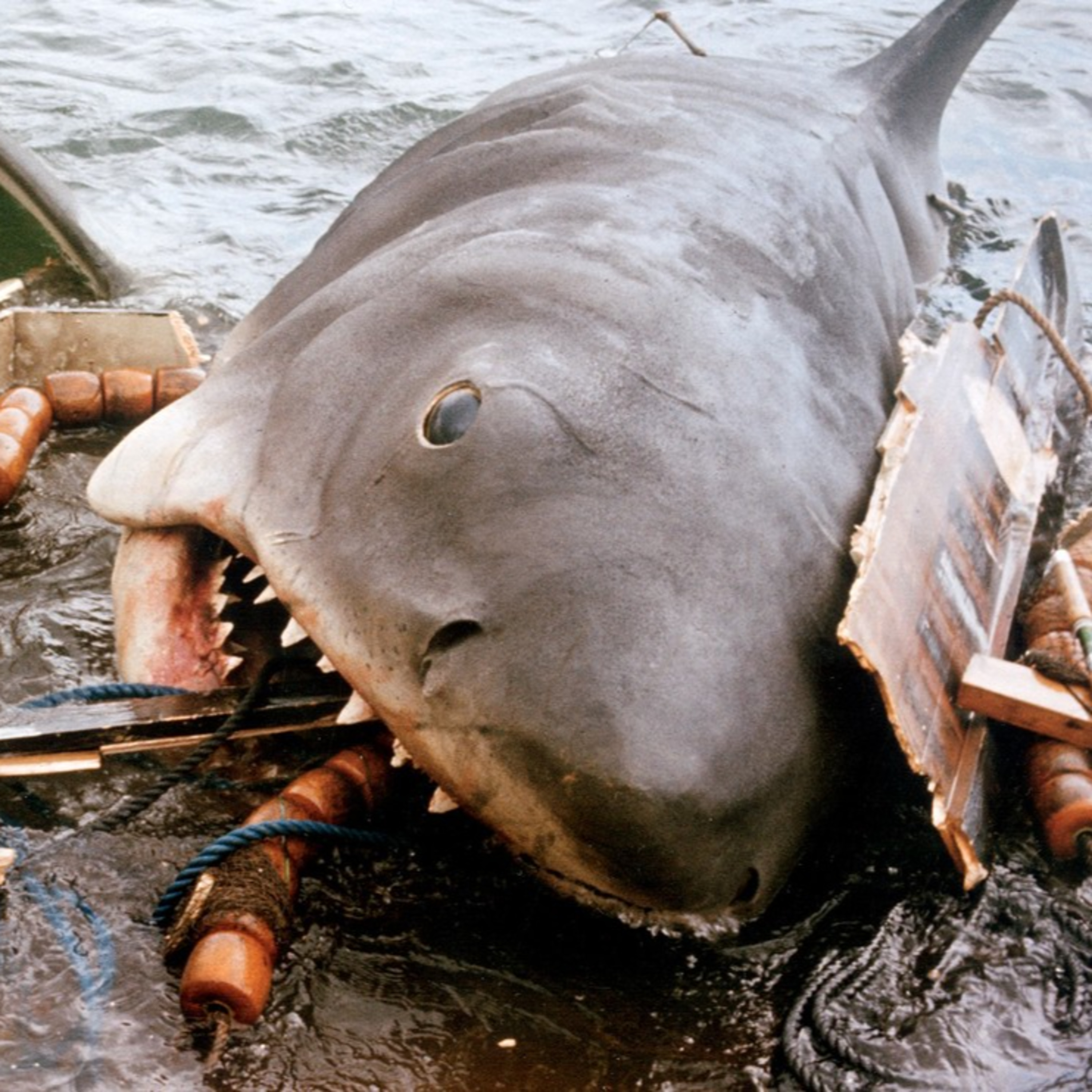 After Hours - Jaws
