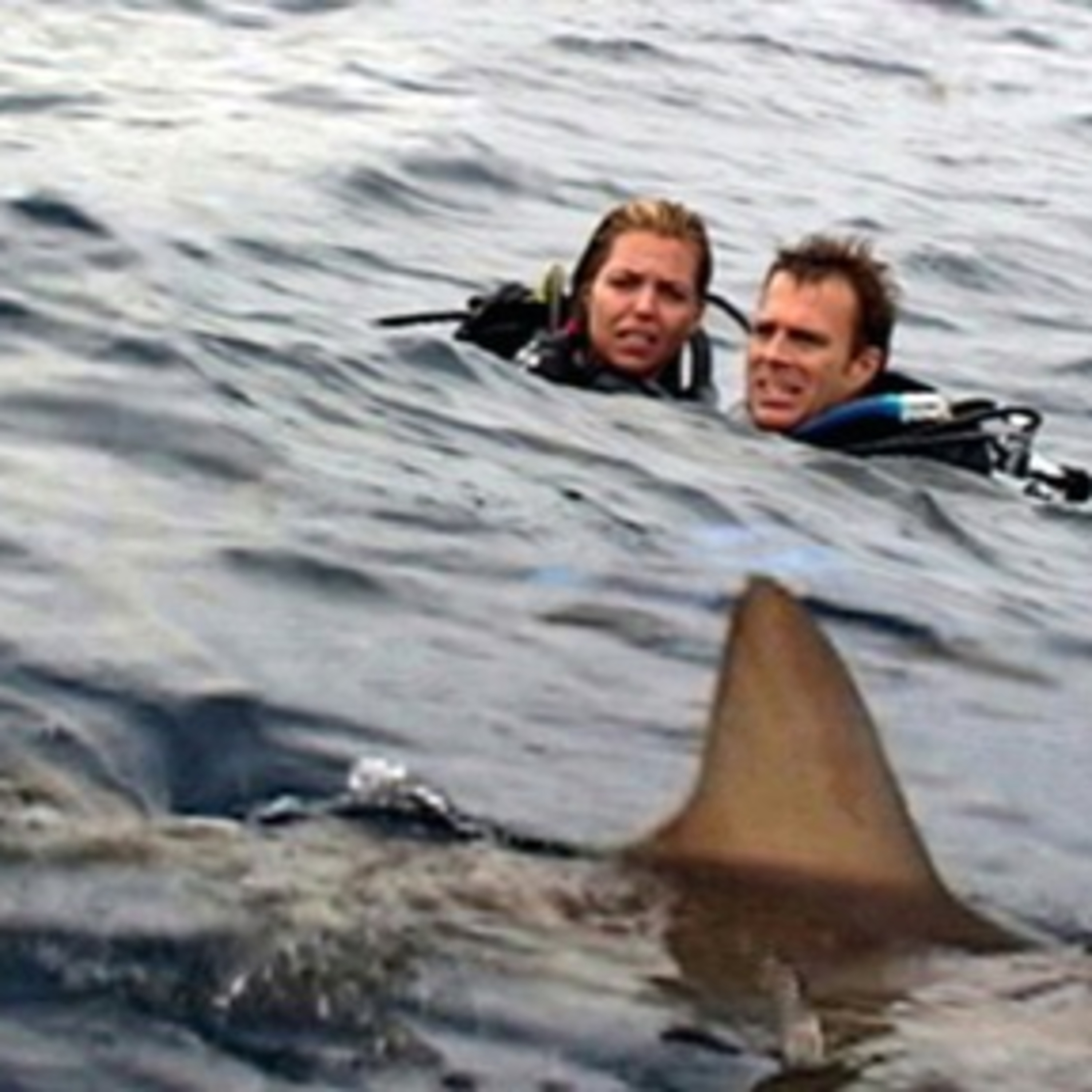 After Hours - Open Water