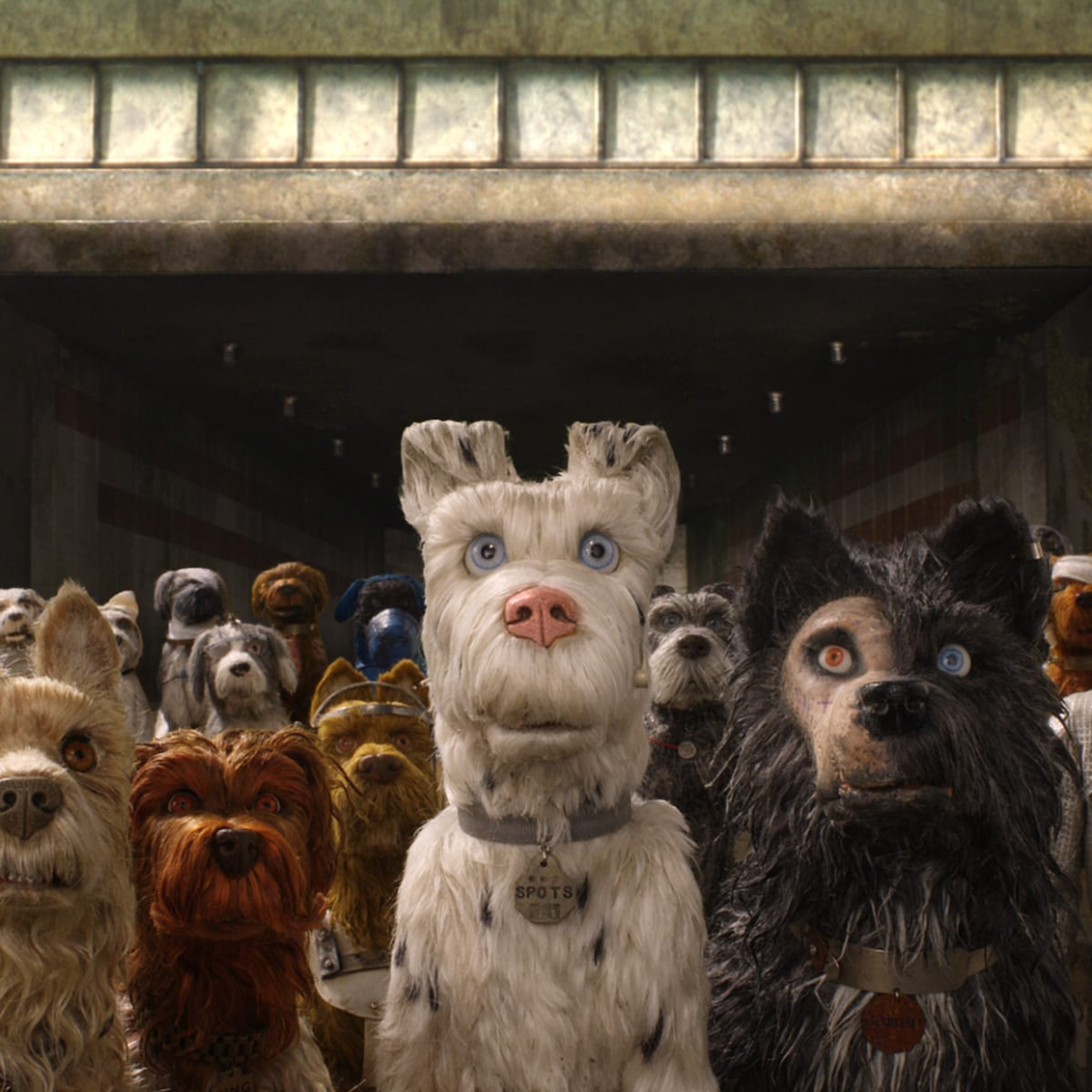 Fantastic Mr. Fox + Isle of Dogs
