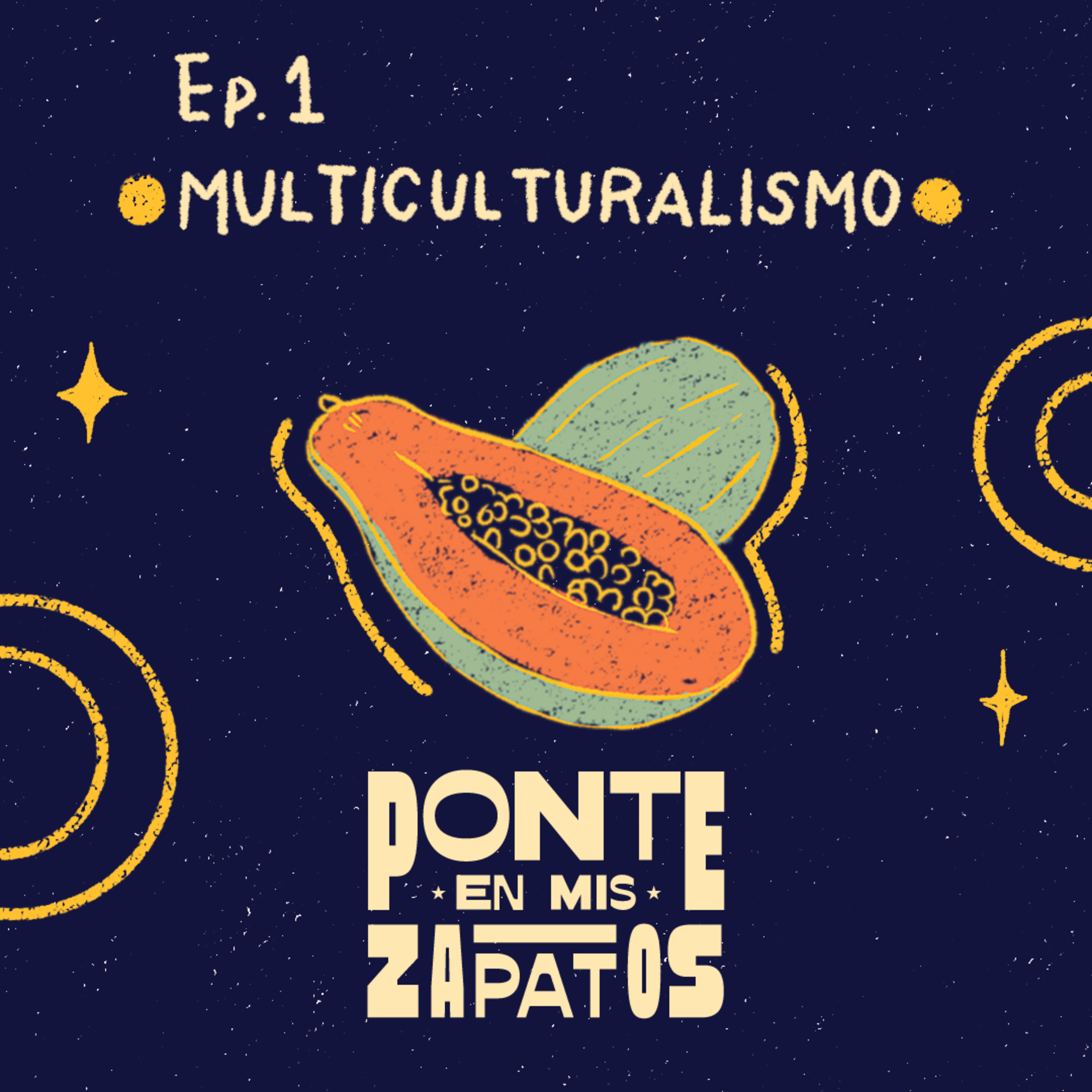 Portada de Radioteca FMs