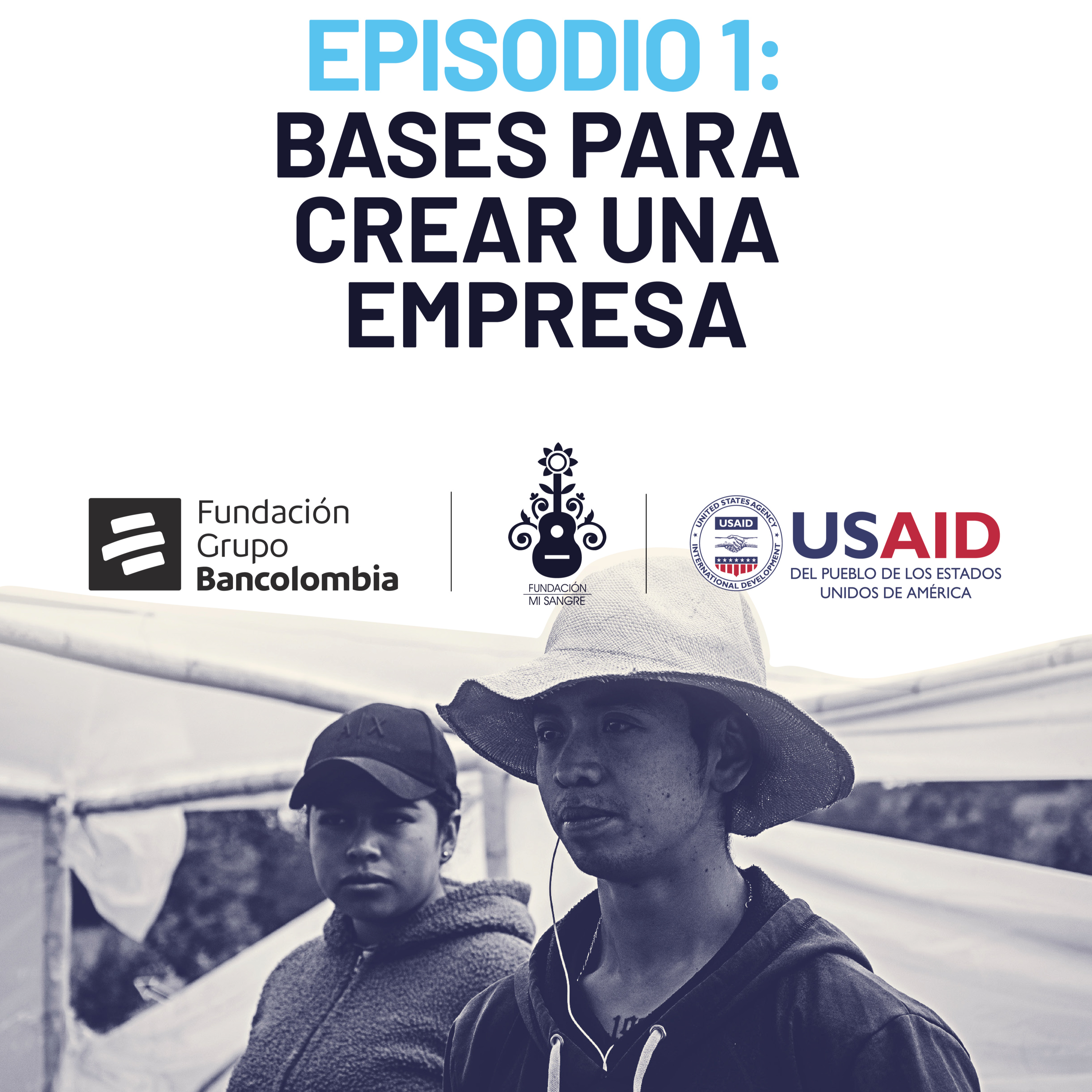 Portada de Radioteca FMs