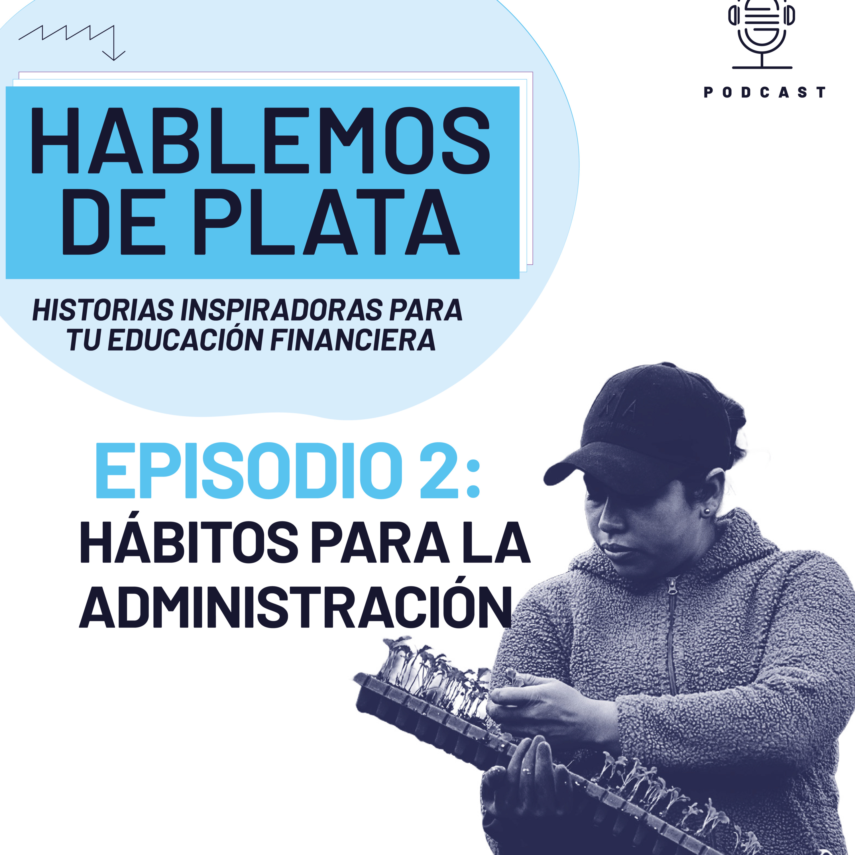 Portada de Radioteca FMs