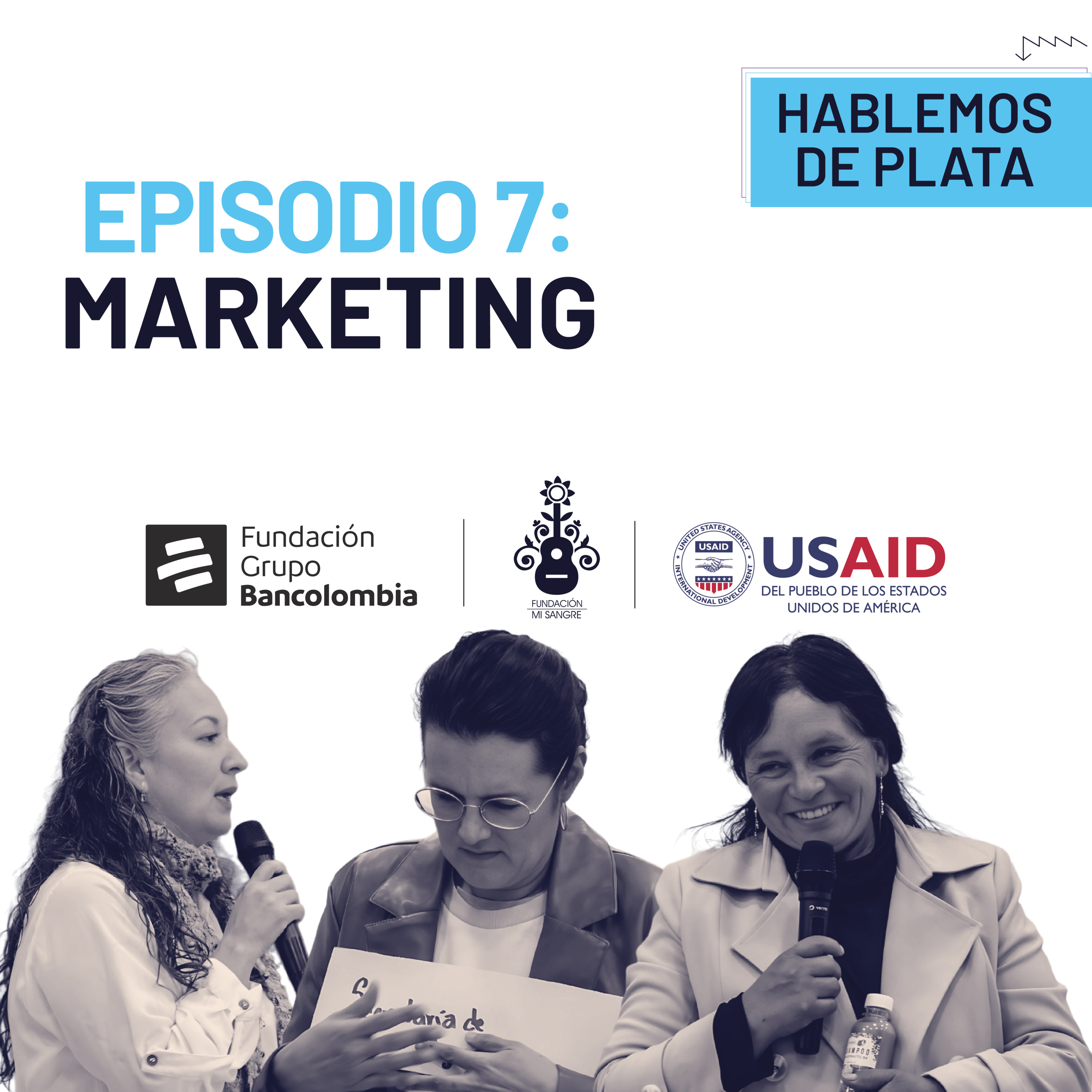 Portada de Radioteca FMs