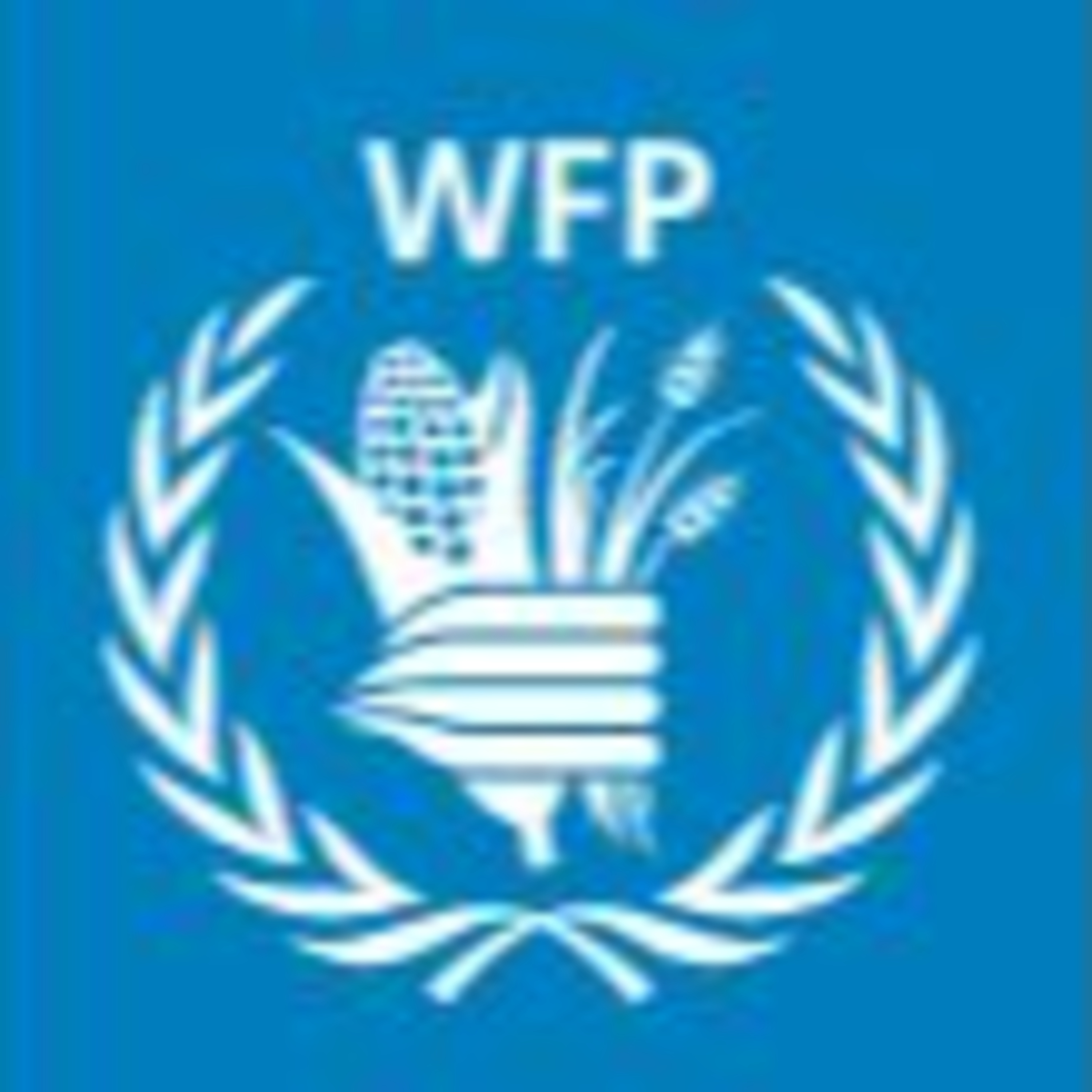 FDR1\'s Drone Vlaming