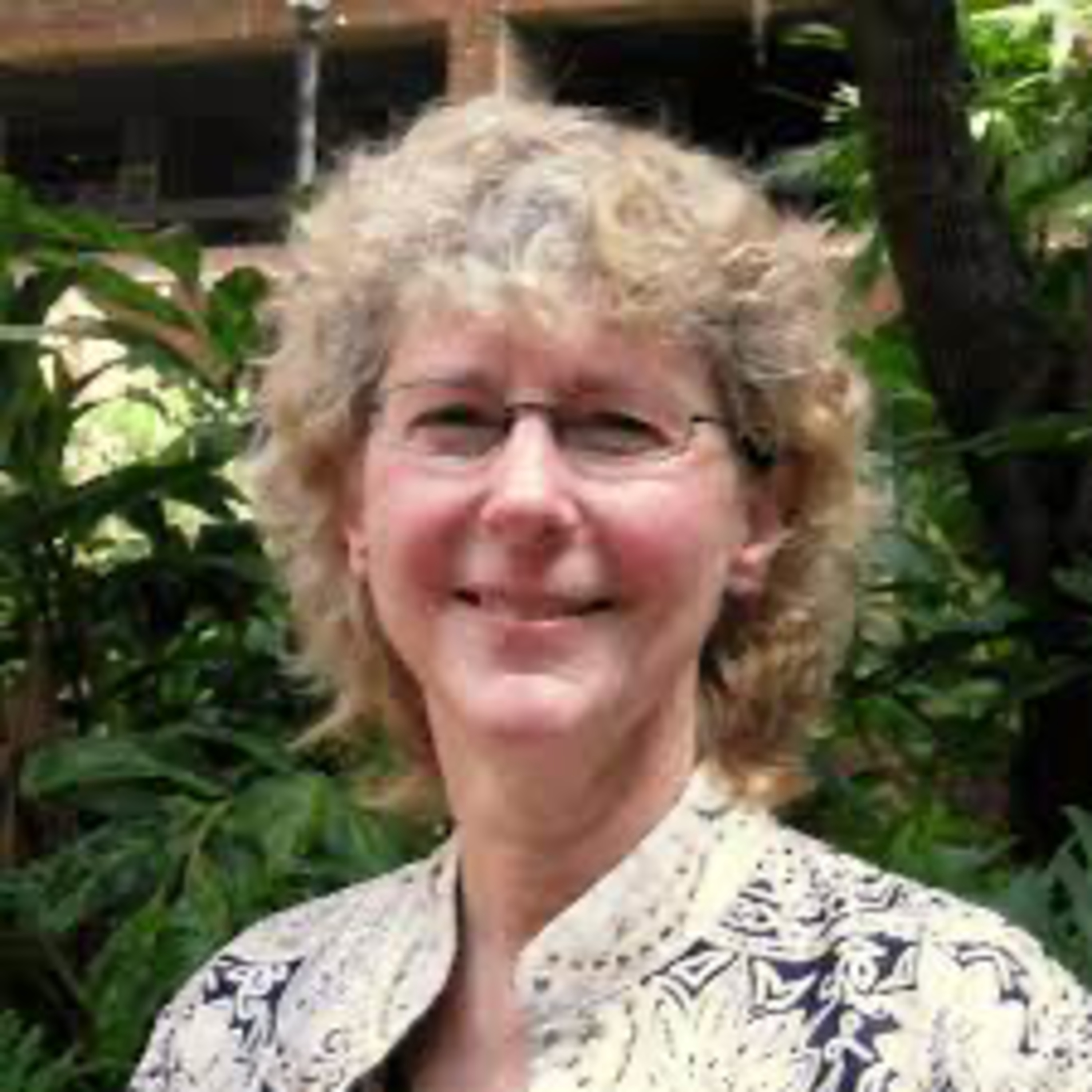 The Inclusive Education Roadmap- Part 1- Dr. Diane Ryndak episode artwork