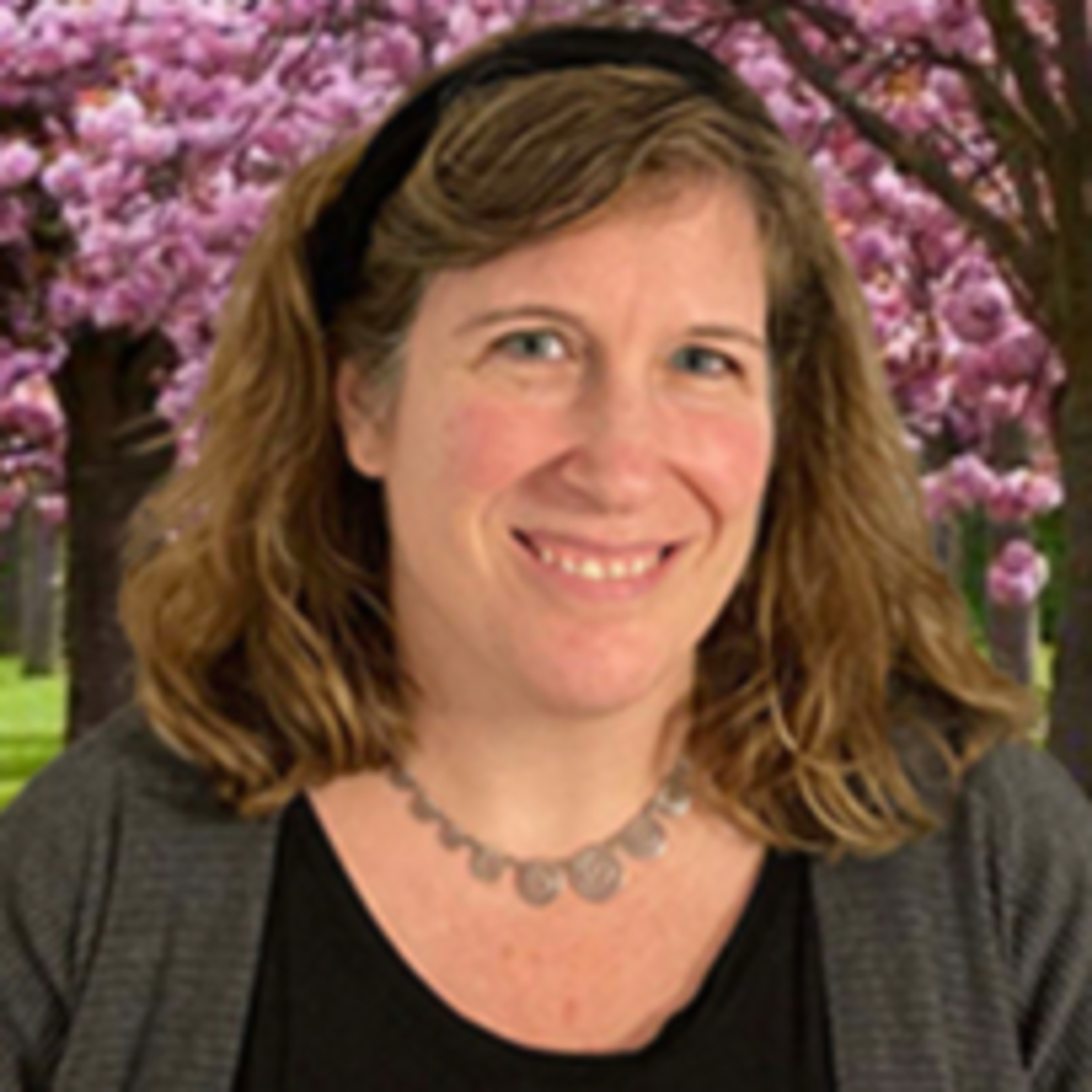 The Inclusive Education Roadmap- Part 2- Dr. Deborah Taub episode artwork