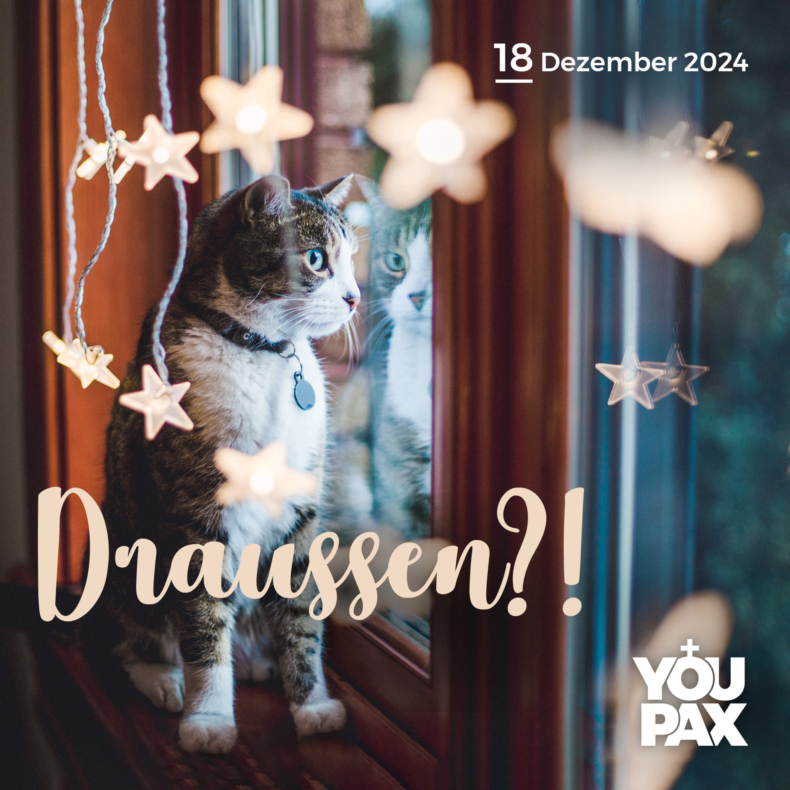 Achtung Advent! - Draussen?! - 18.12.2024 episode artwork
