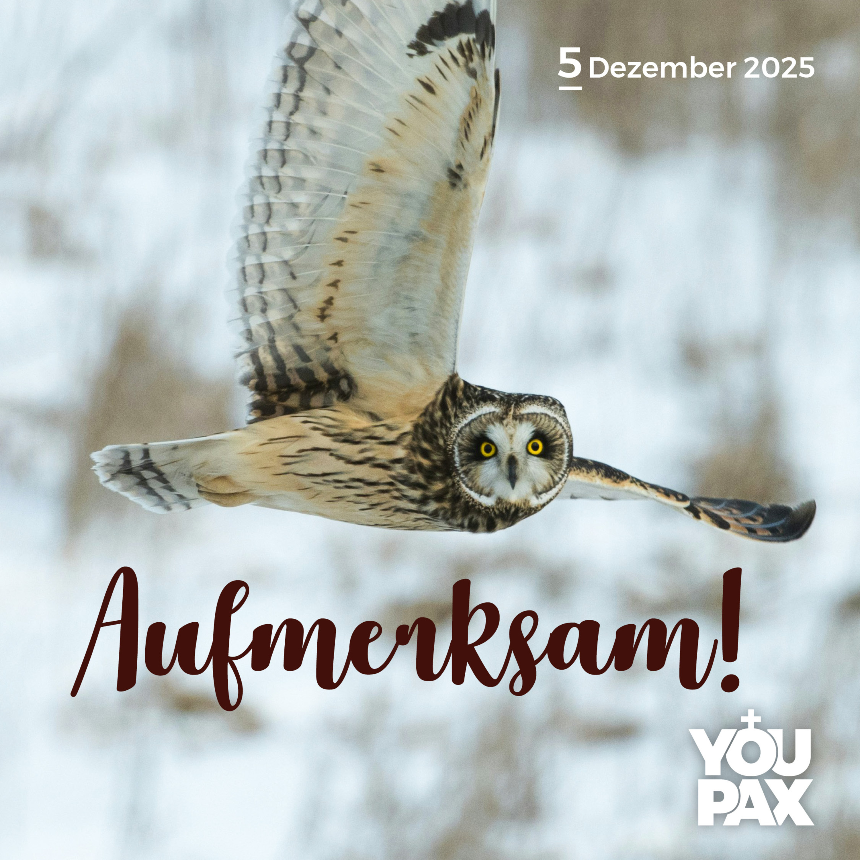 Achtung Advent! - Aufmerksam! - 05.12.2025 episode artwork