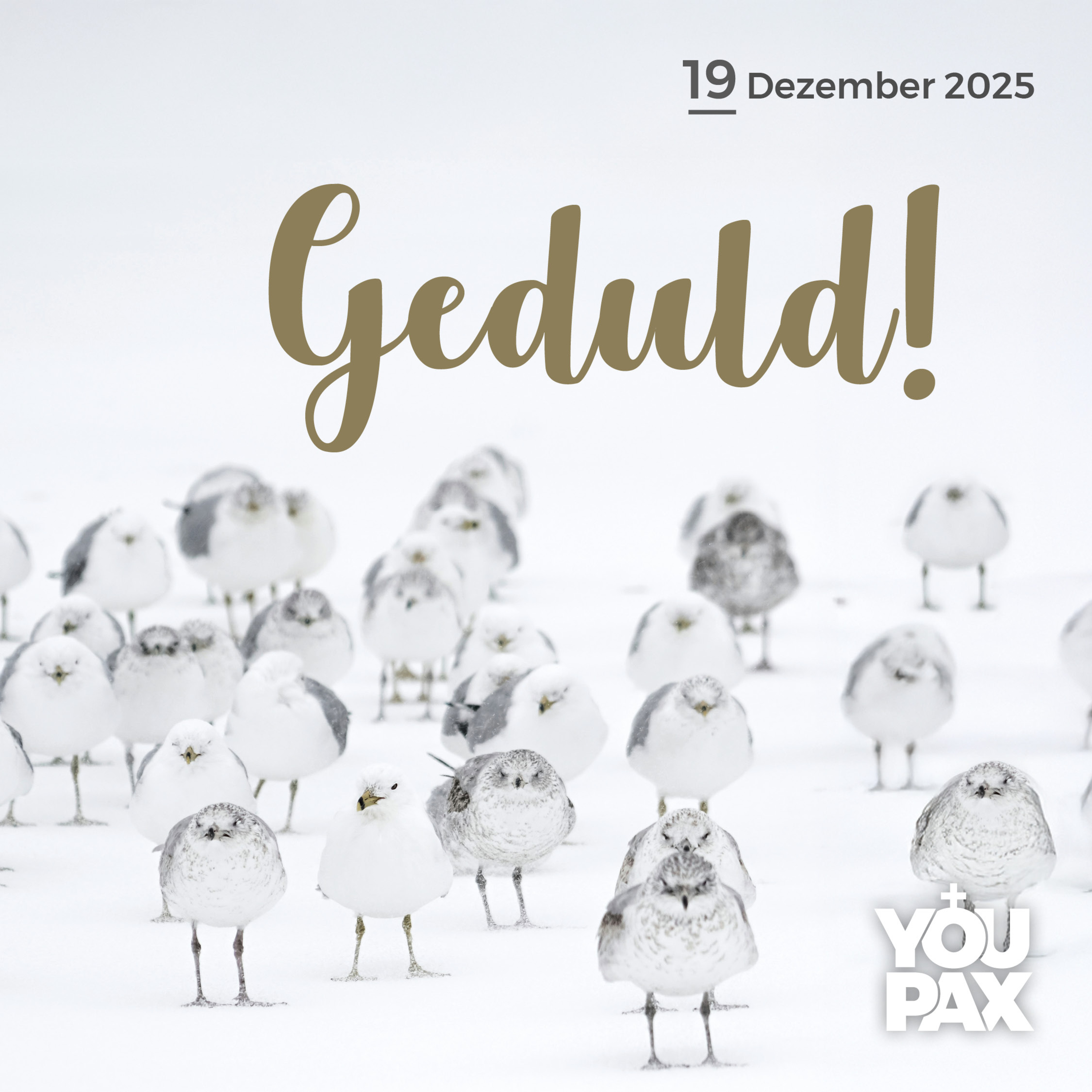 Achtung Advent! - Geduld! - 19.12.2025 episode artwork