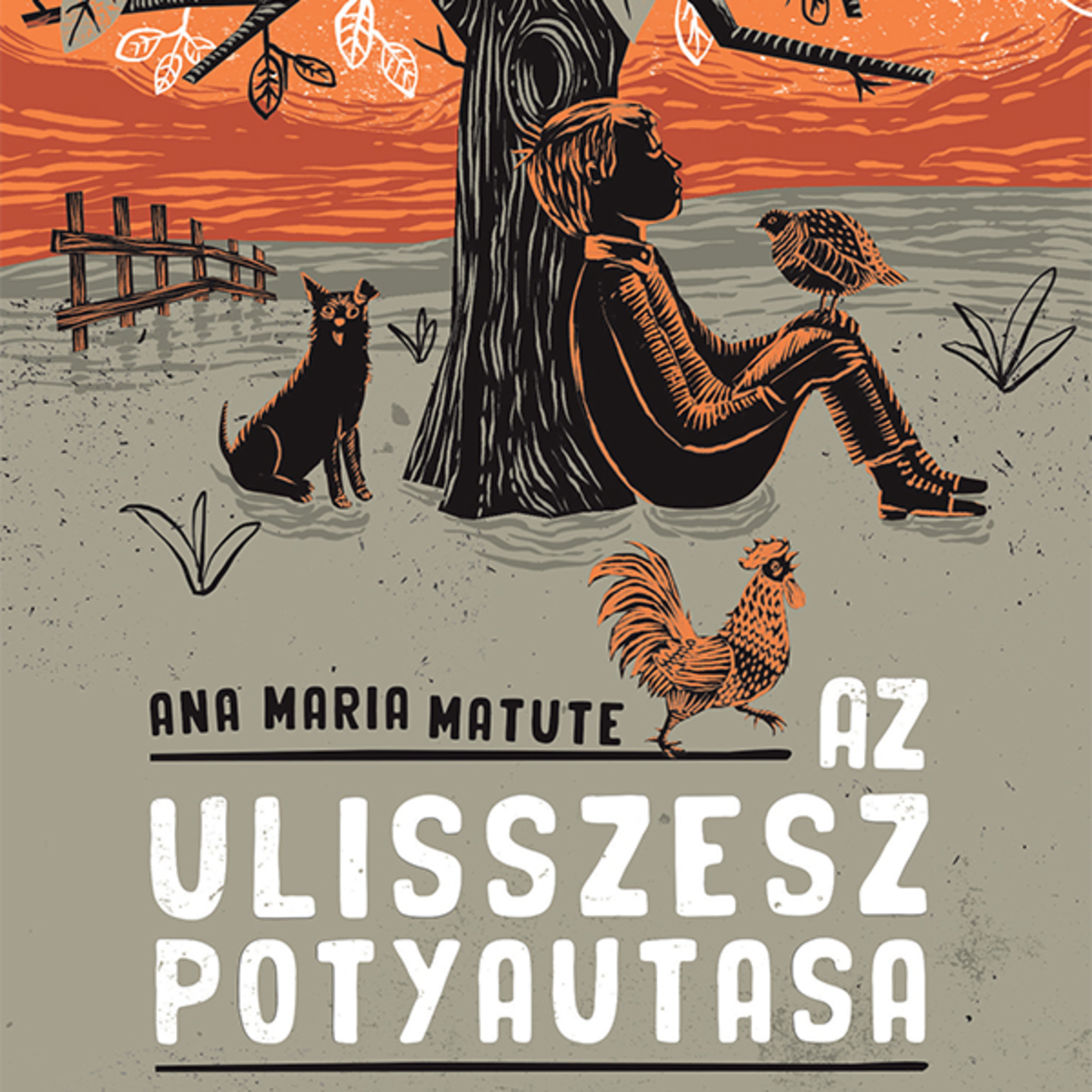 Ana María Matute könyvbemutató - beszélgetés a fordítóval Mester Yvonne-nal episode artwork