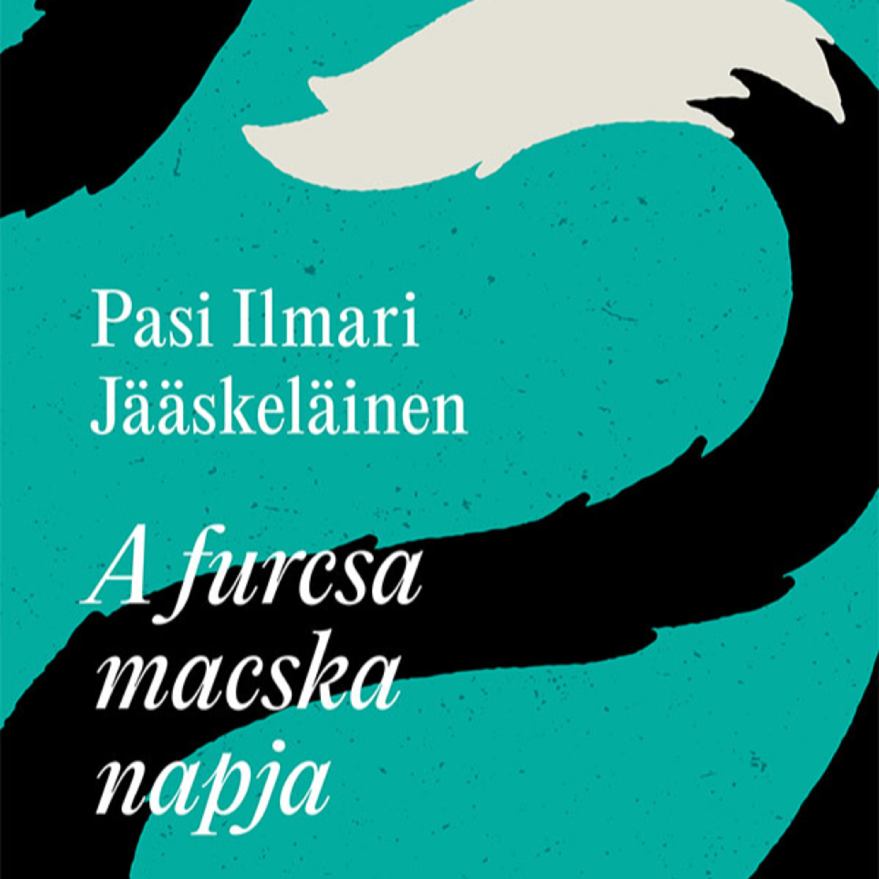 Pasi Ilmari Jääskeläinen: A furcsa macska napja hangoskönyv részlet episode artwork