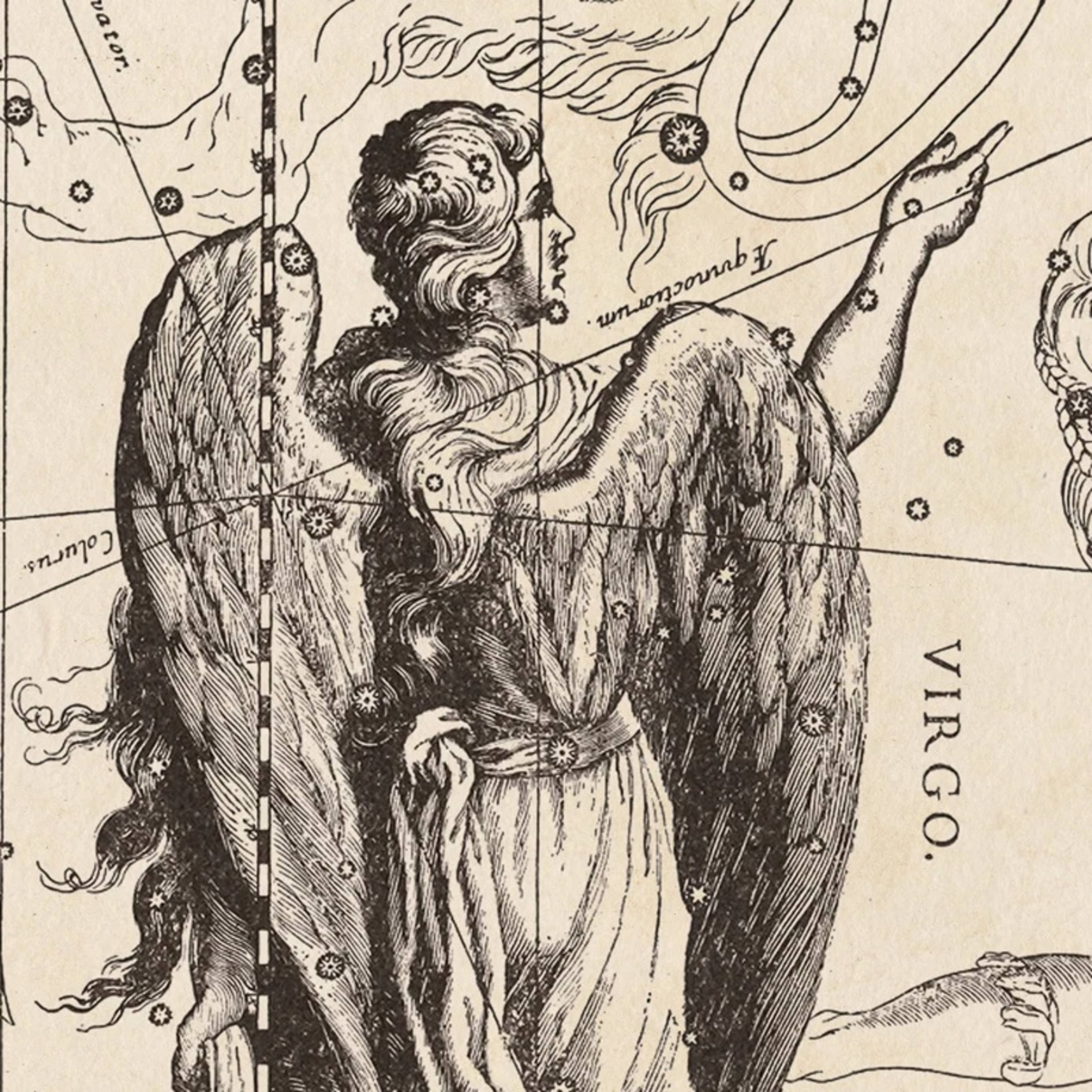 30. Virgo episode artwork