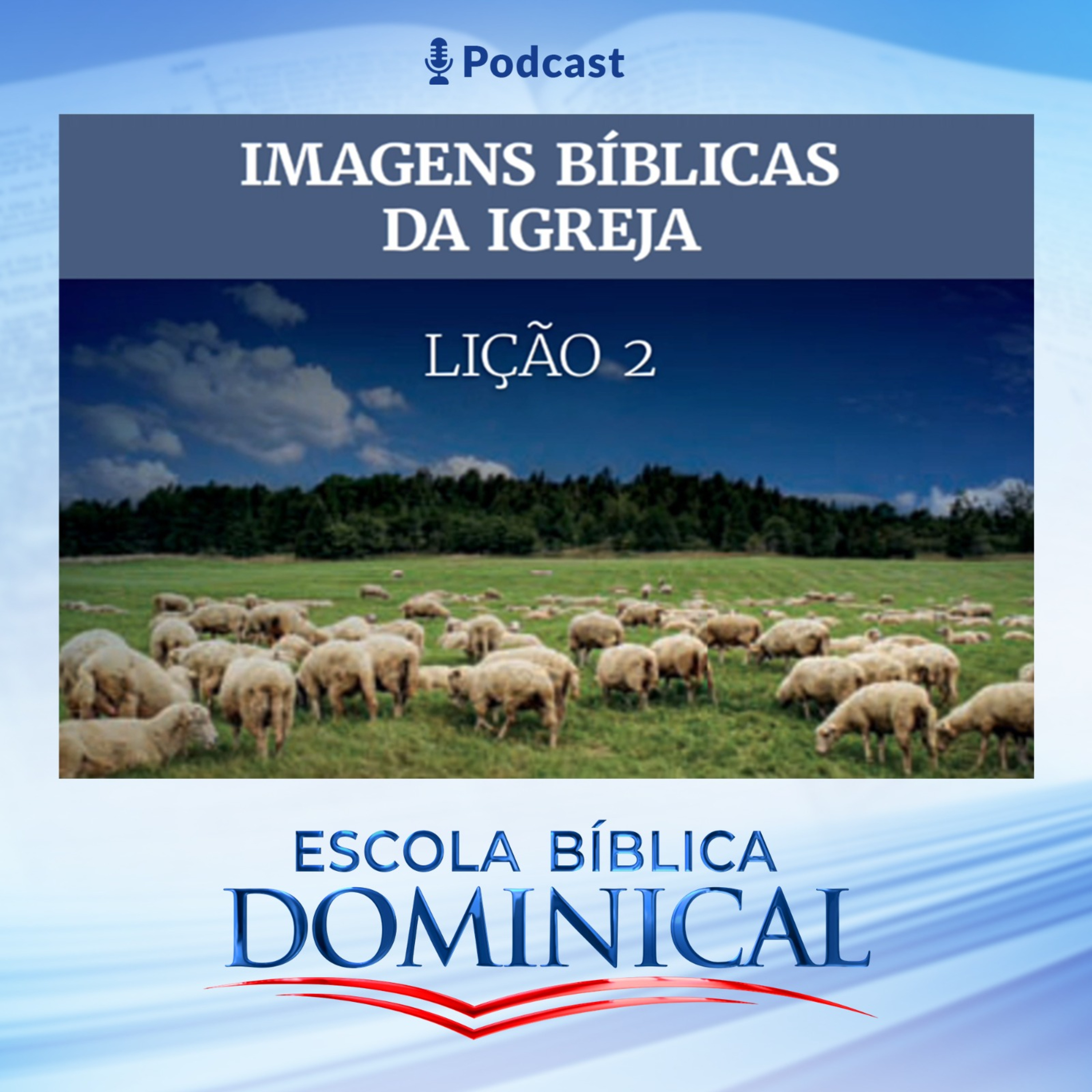 Rede Brasil Oficial
