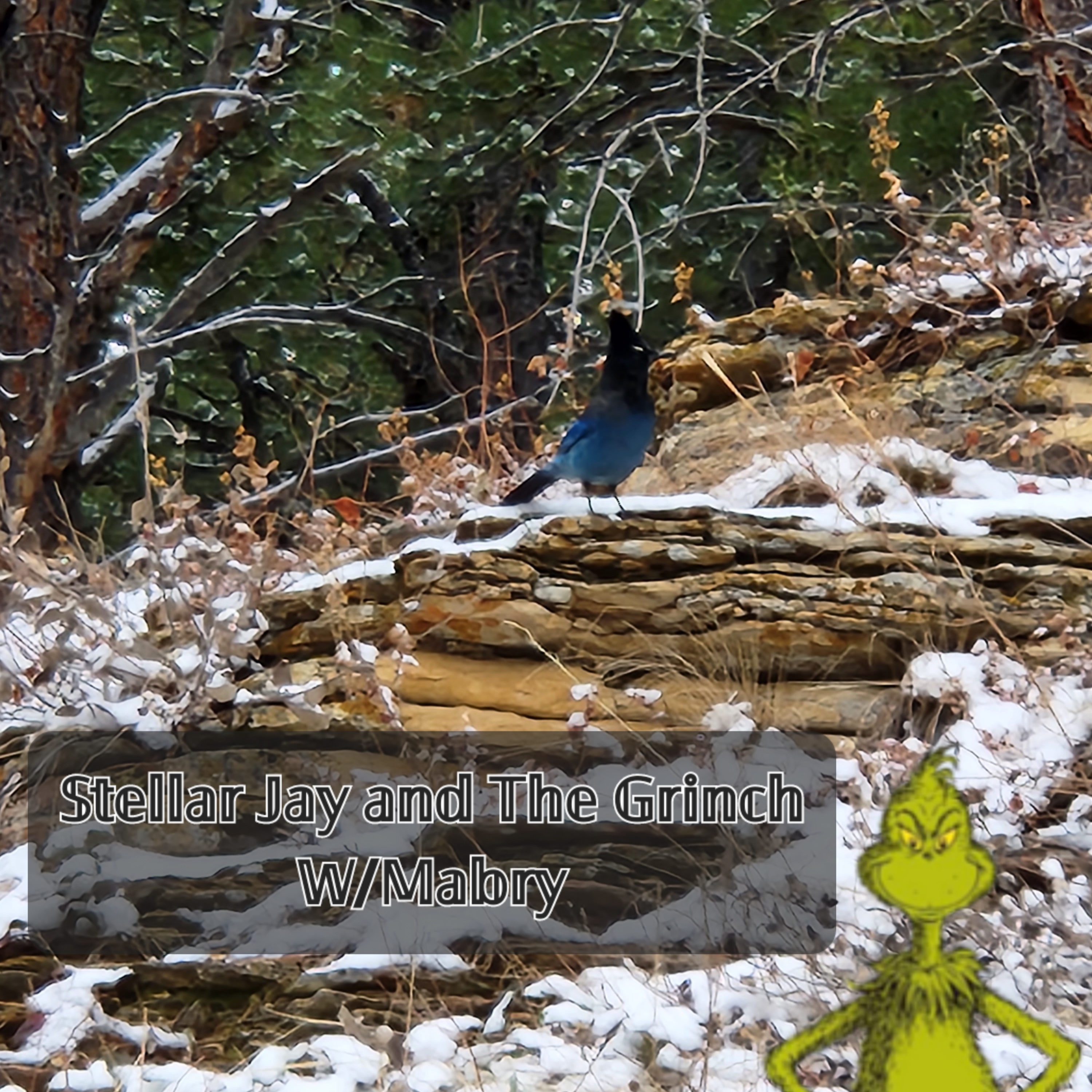 3 Wheel Bicycle Podcast