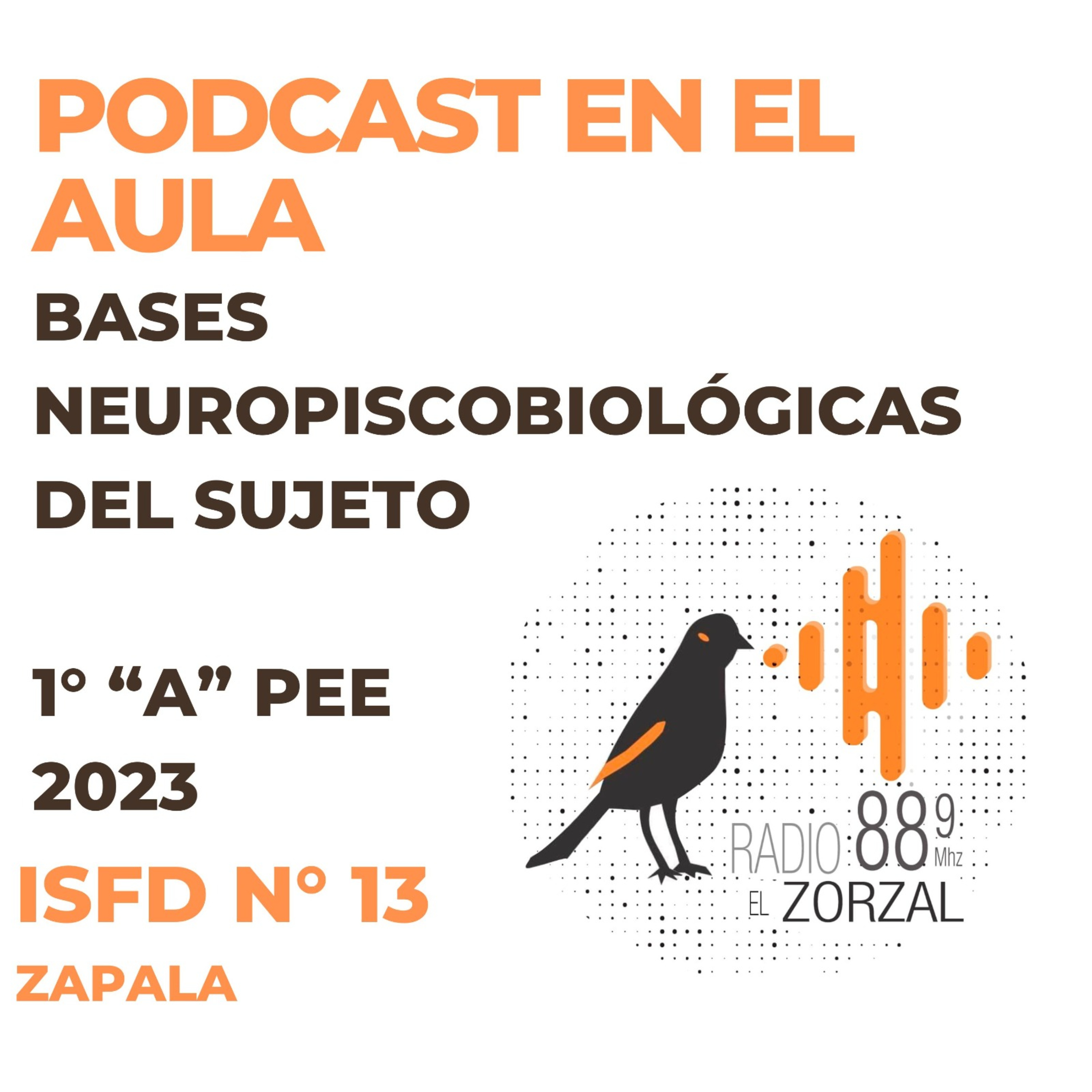 El Zorzal Radio Socioeducativa de Zapala