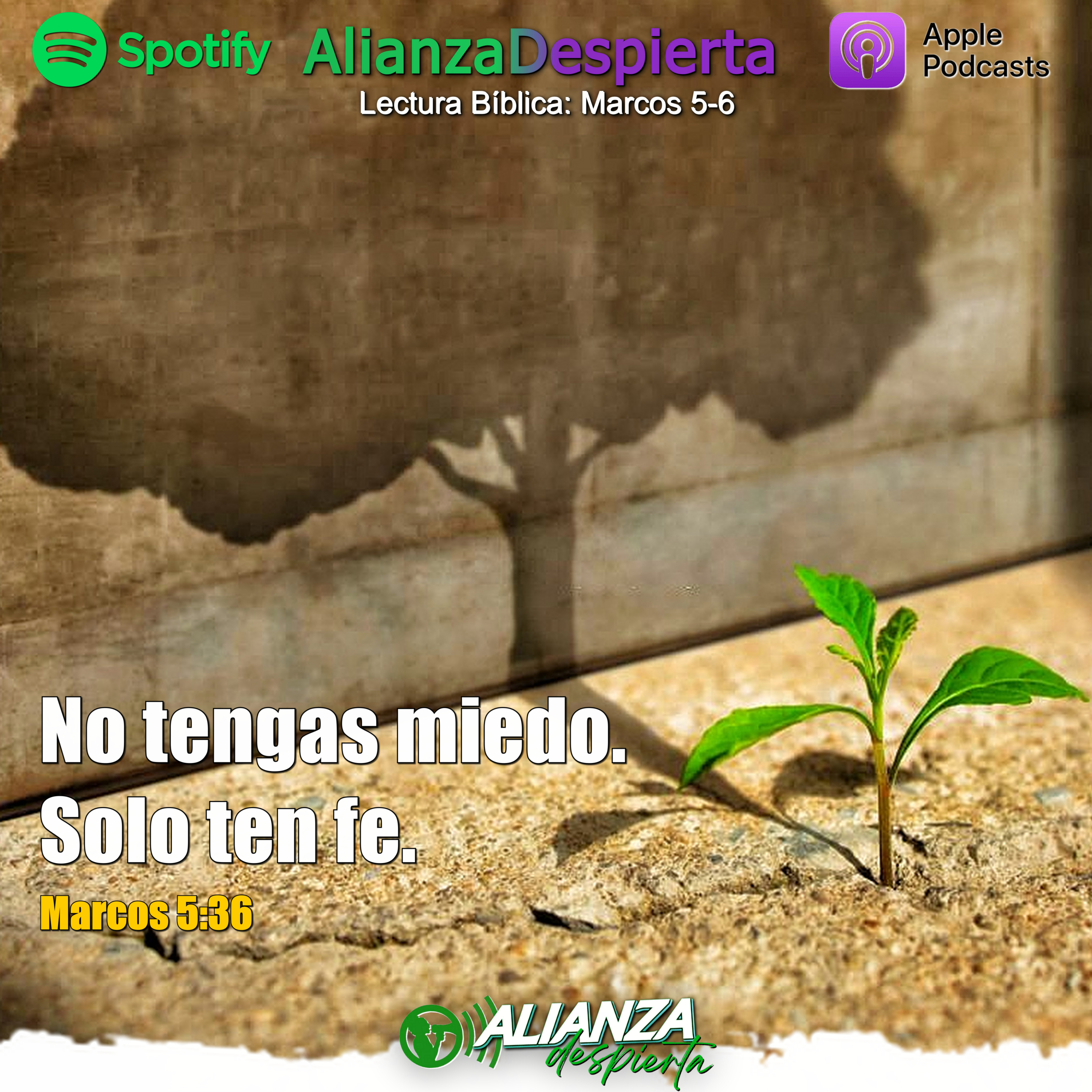 MIEDO A QUÉ - 26.03.23 episode artwork