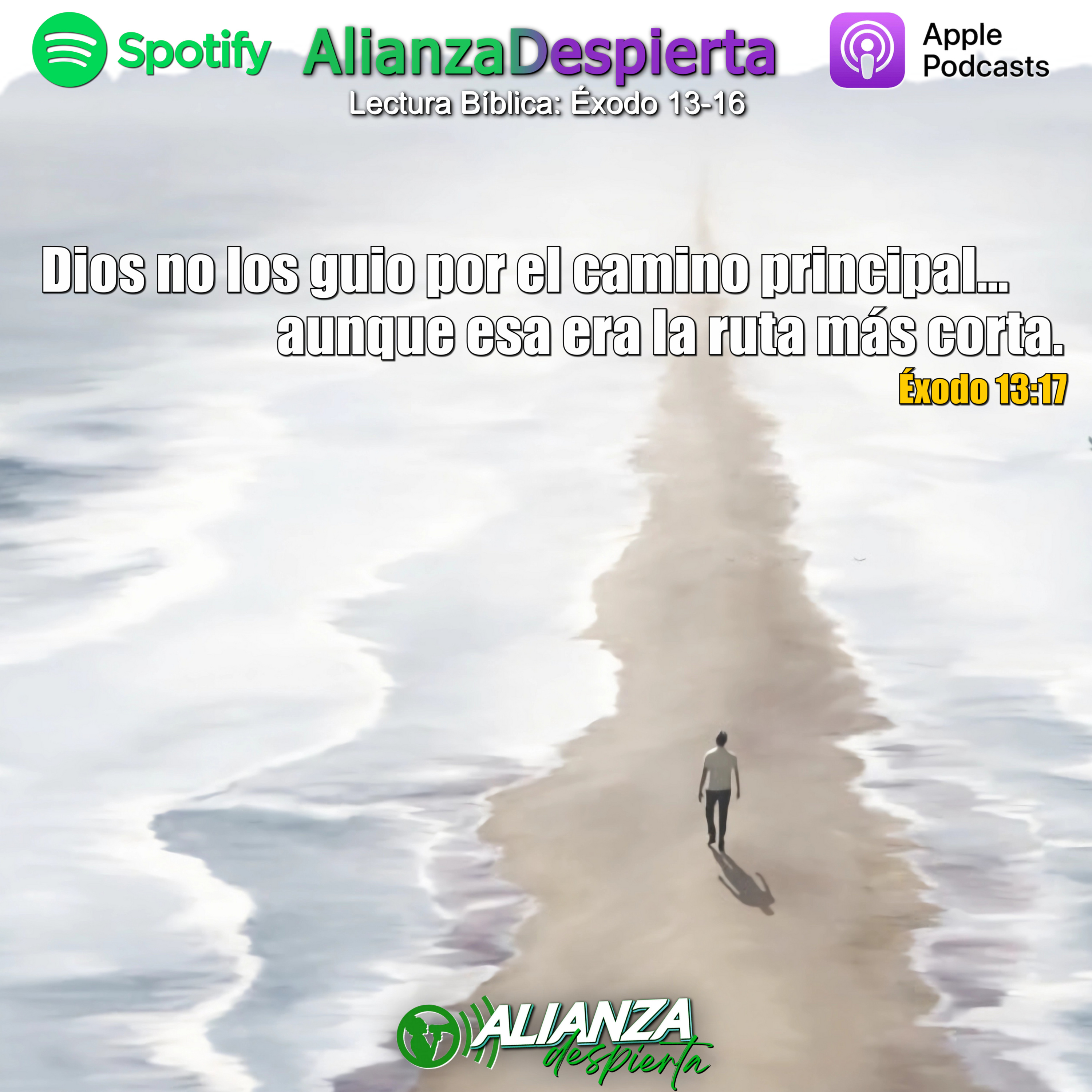 Portada de Alianza Despierta