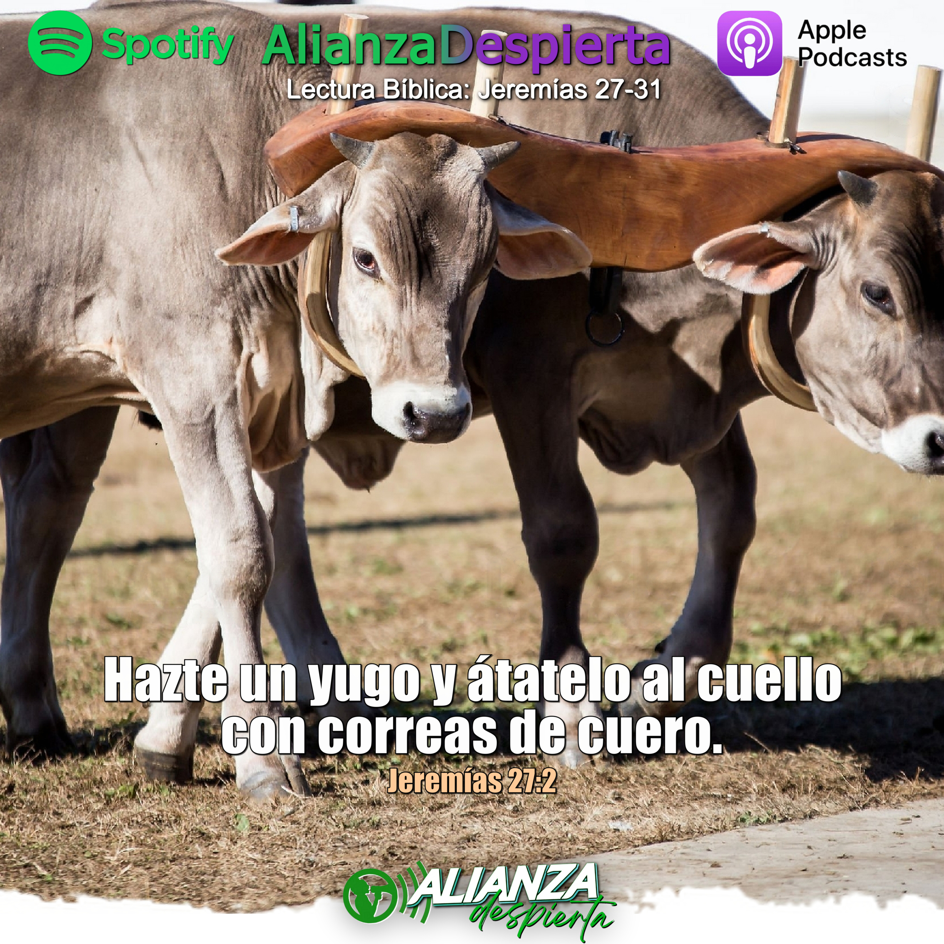 ATADOS AL PASADO - 05.05.23 episode artwork