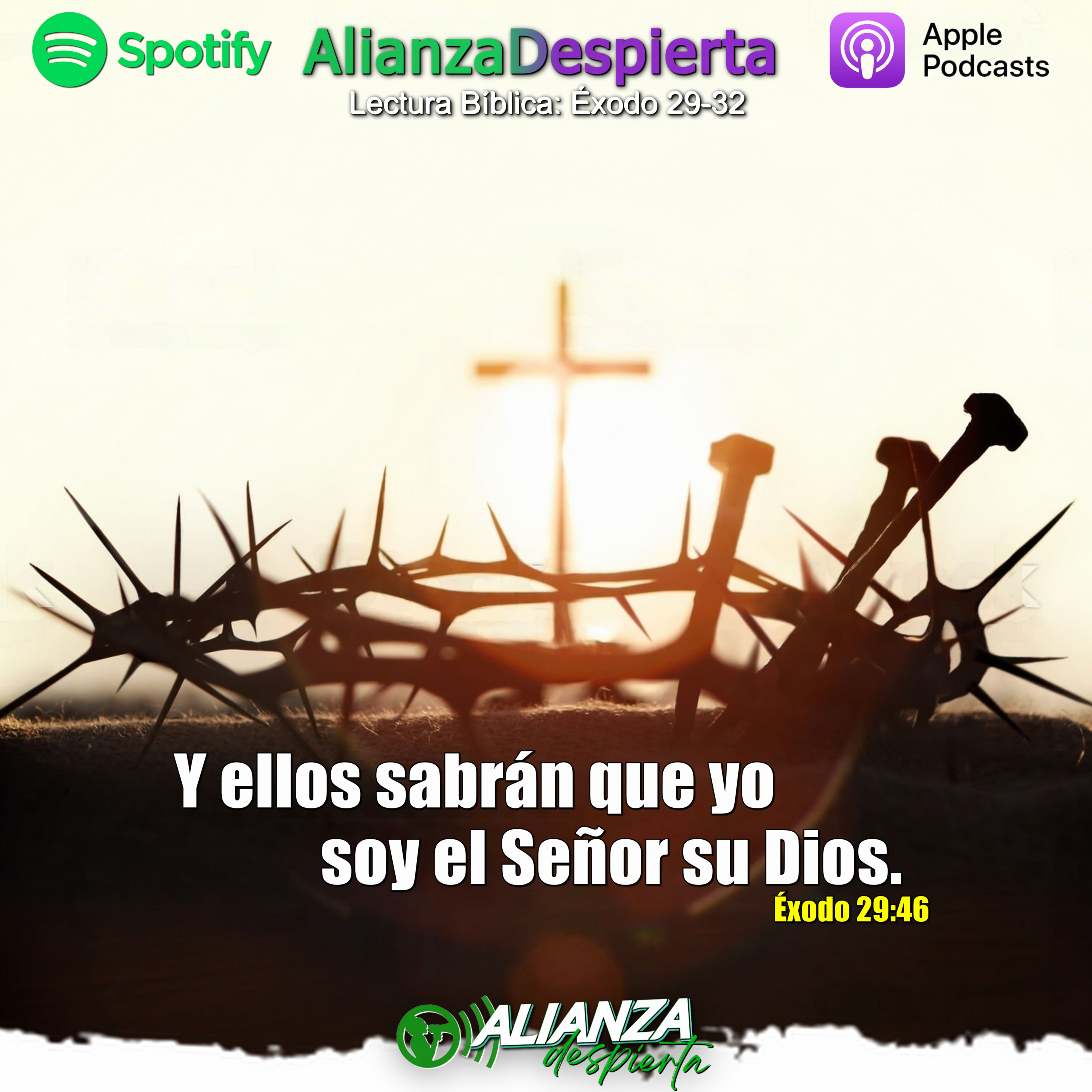 DIOS PROVEEDOR - 22.05.23 episode artwork