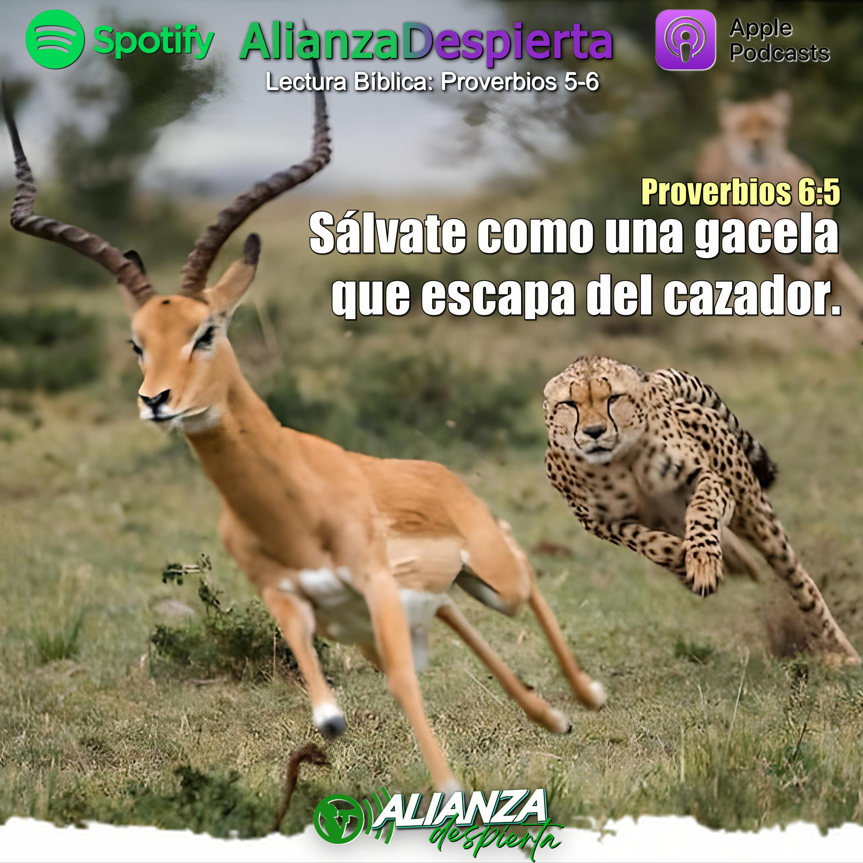SÁLVATE MIENTRAS PUEDAS - 22.06.23 episode artwork