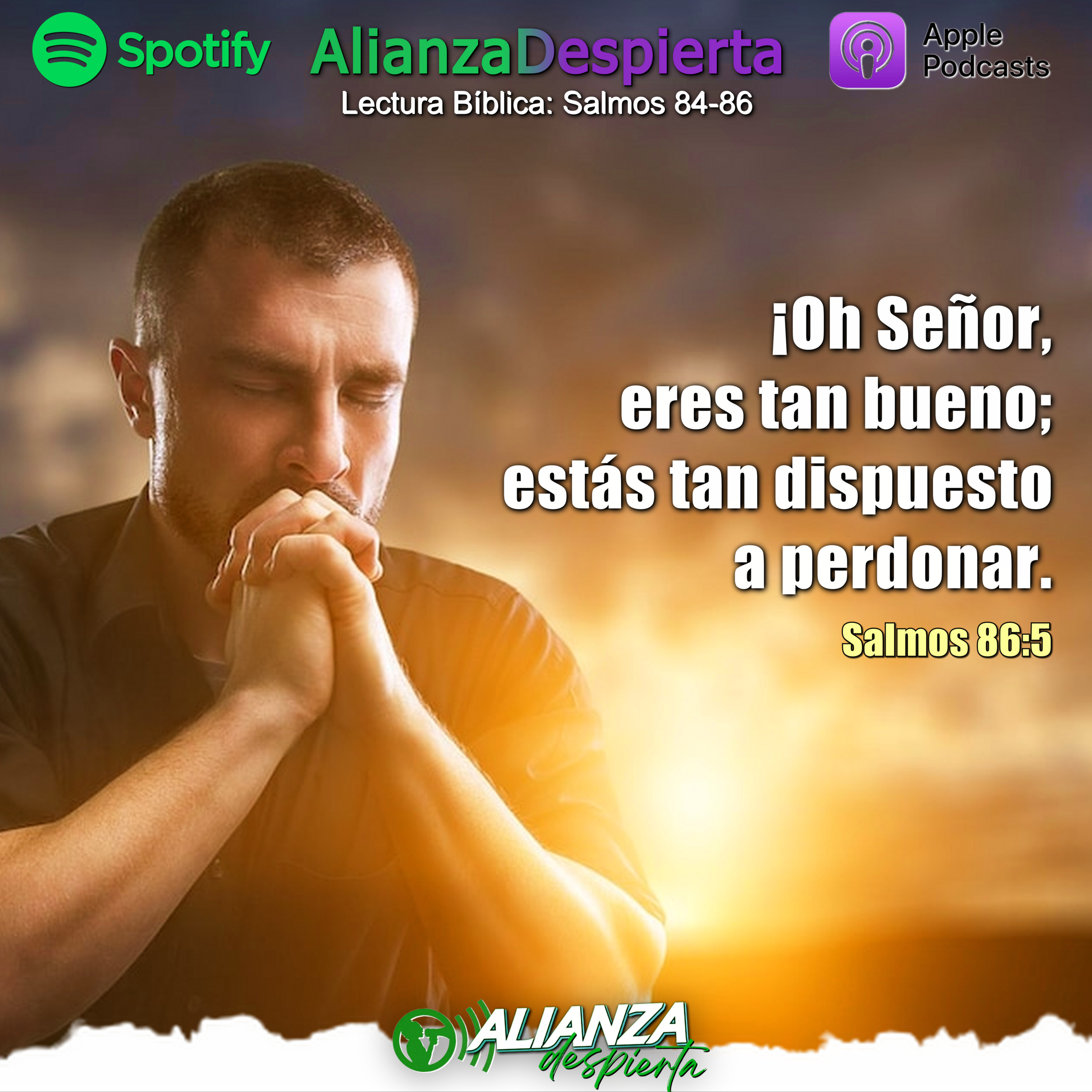 Portada de Alianza Despierta