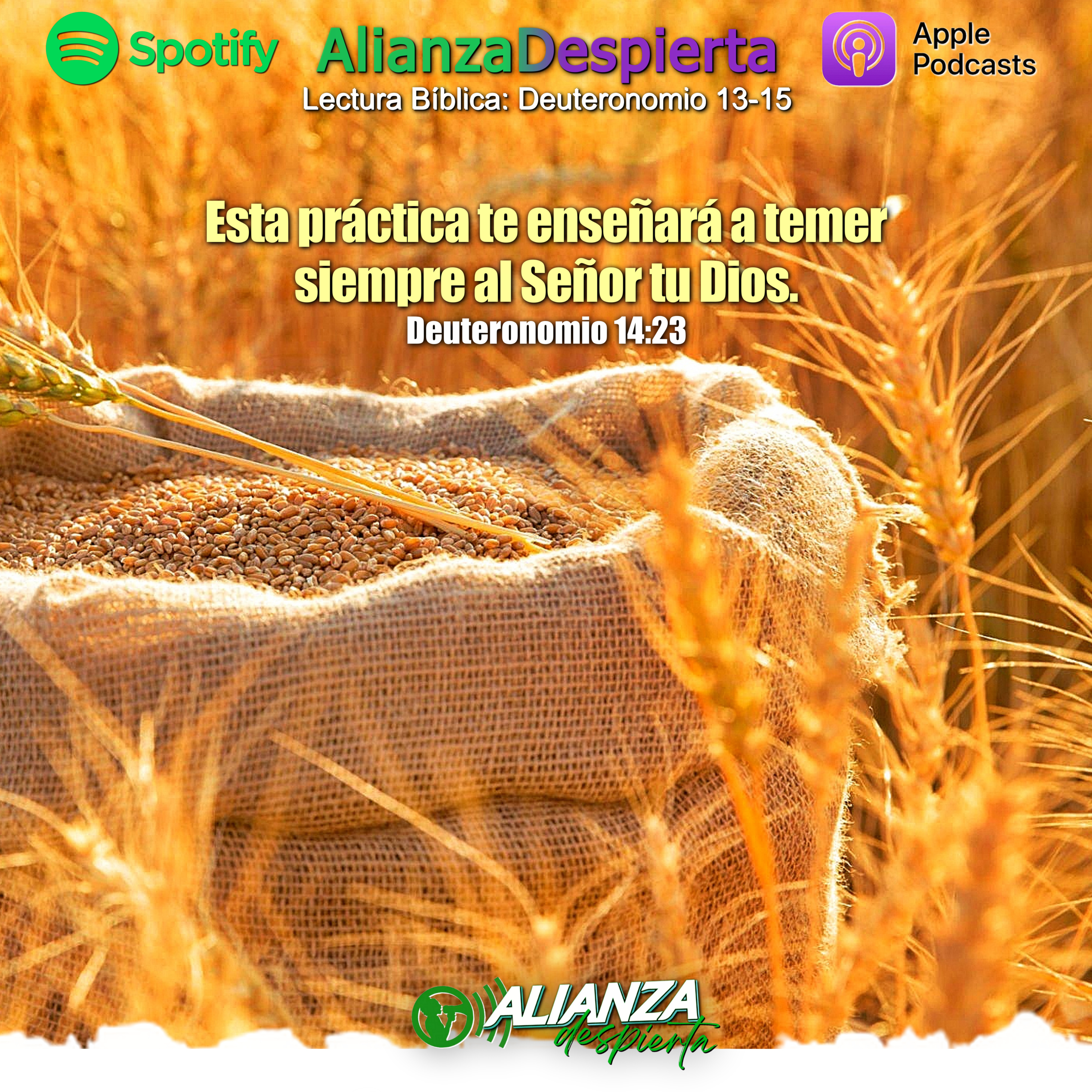 CORRECTAMENTE PROSPEROS - 13.11.23 episode artwork