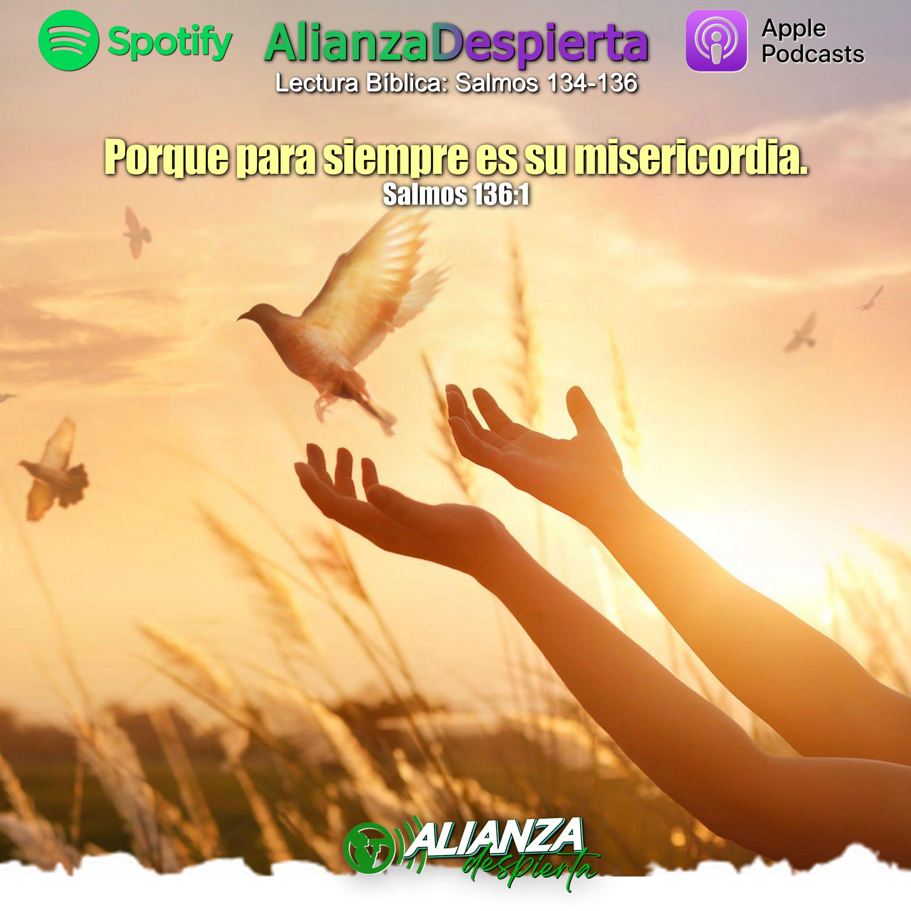 PORQUE PARA SIEMPRE ES SU MISERICORDIA - 22.11.23 episode artwork
