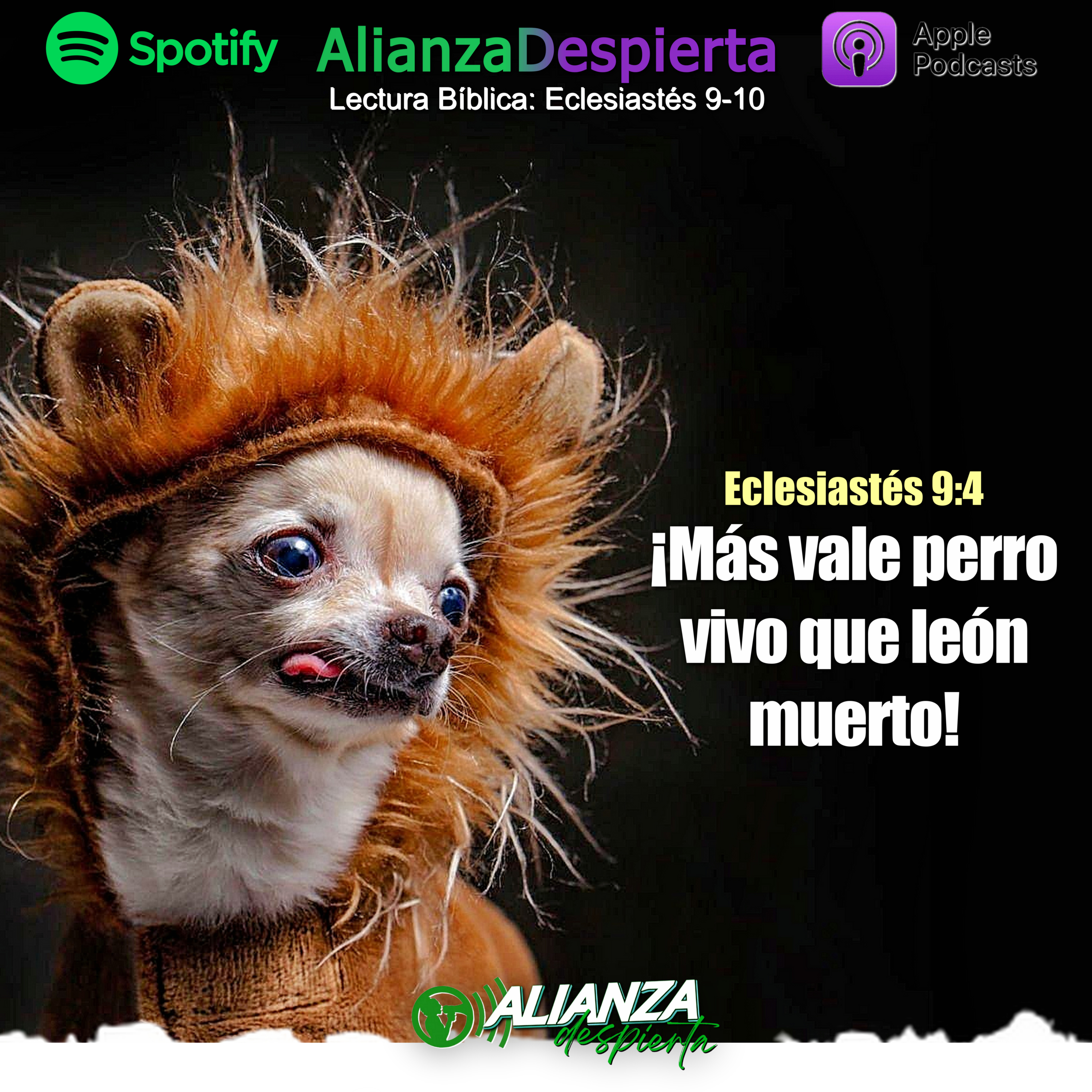 MÁS VALE PERRO VIVO QUE LEÓN MUERTO - 23.11.23 episode artwork