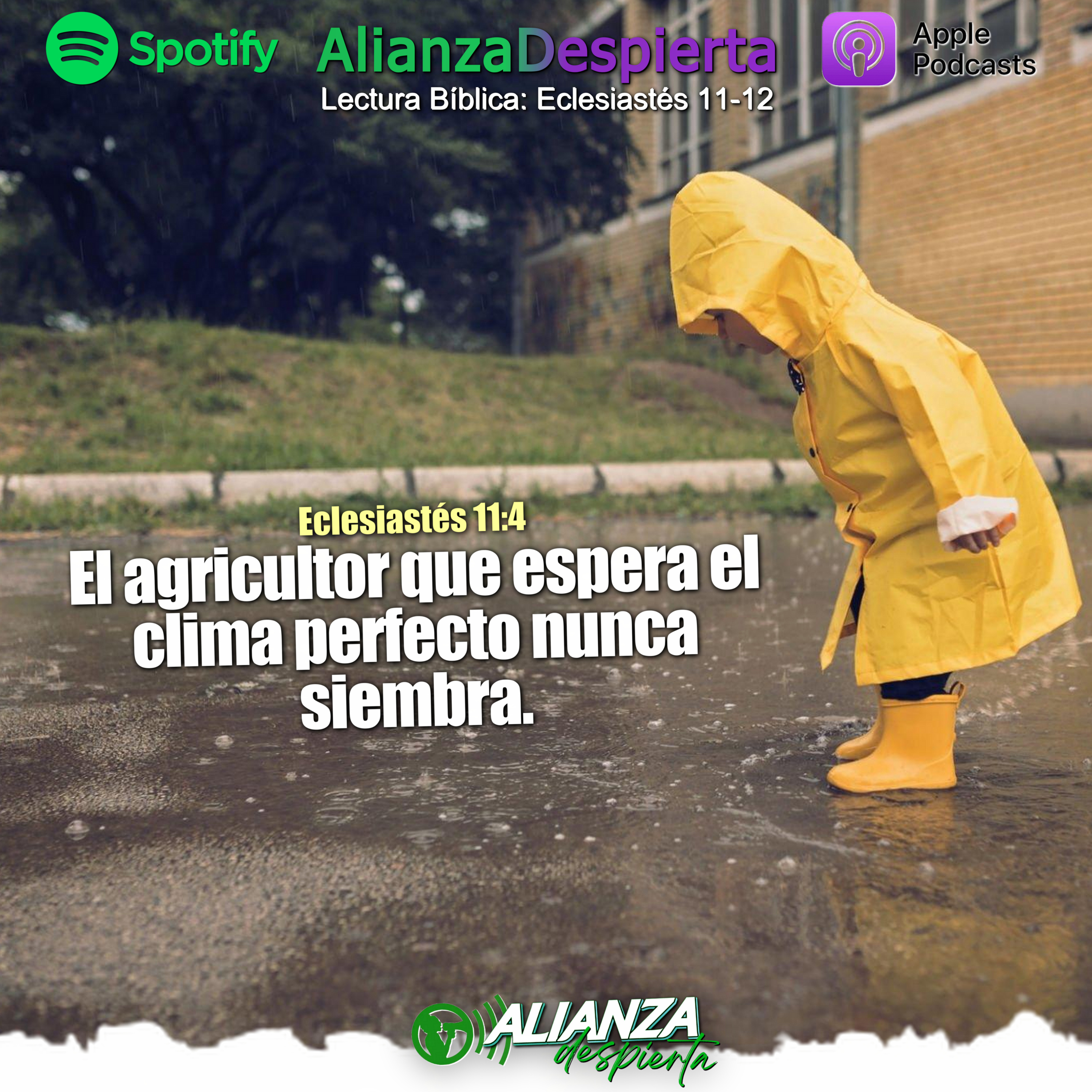Portada de Alianza Despierta