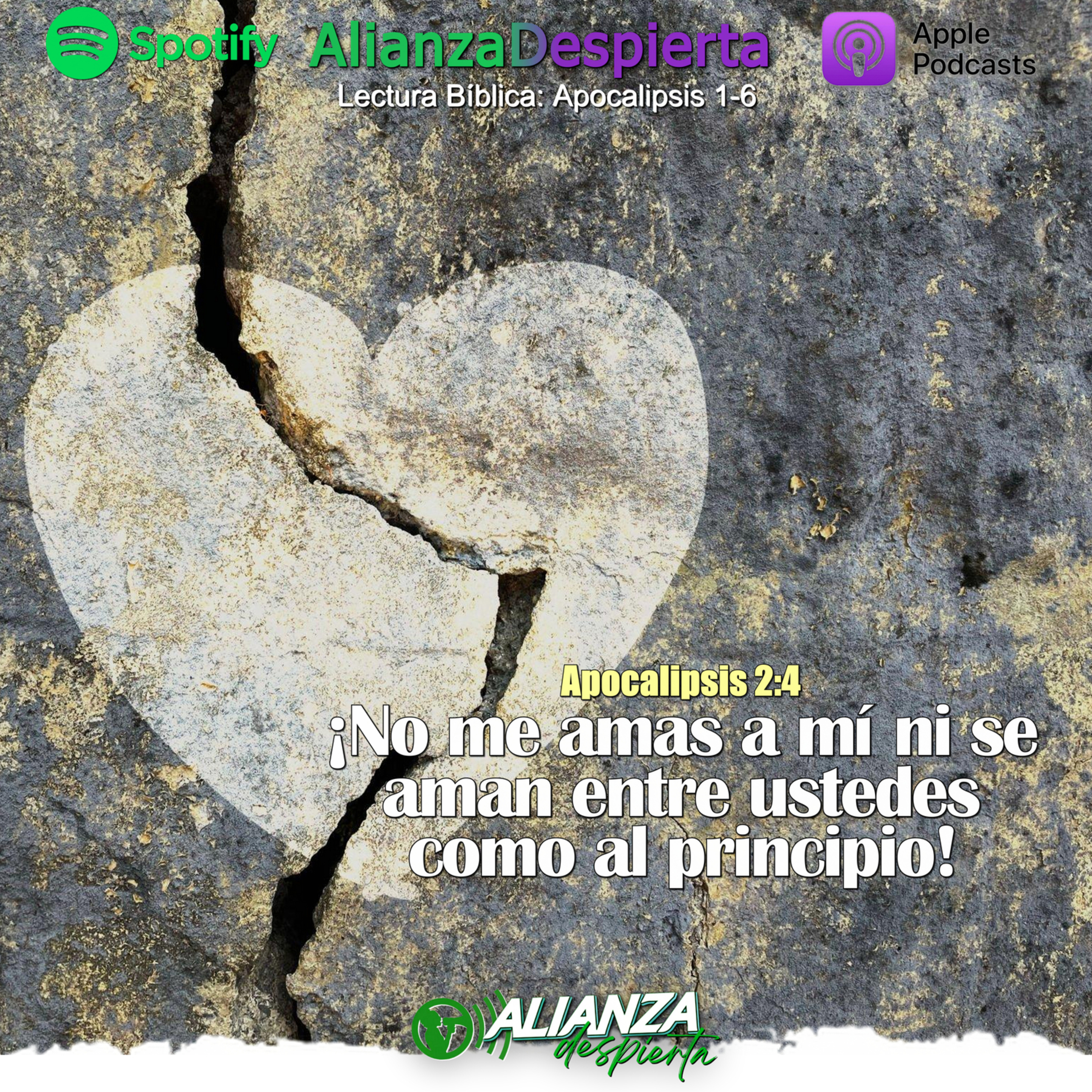 PRIMER AMOR - 08.12.23 episode artwork