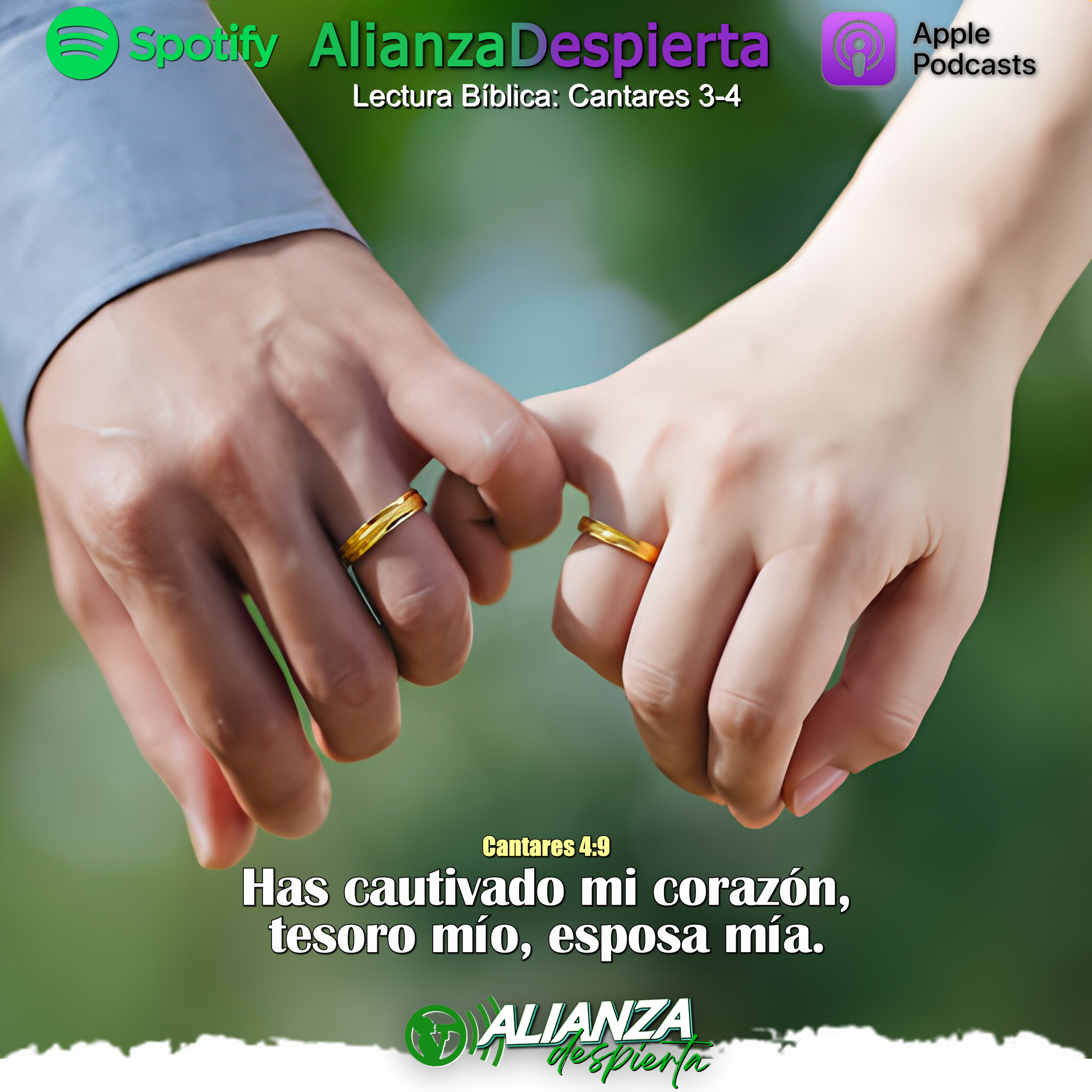 AMOR DE ESPOSOS - 14.12.23 episode artwork