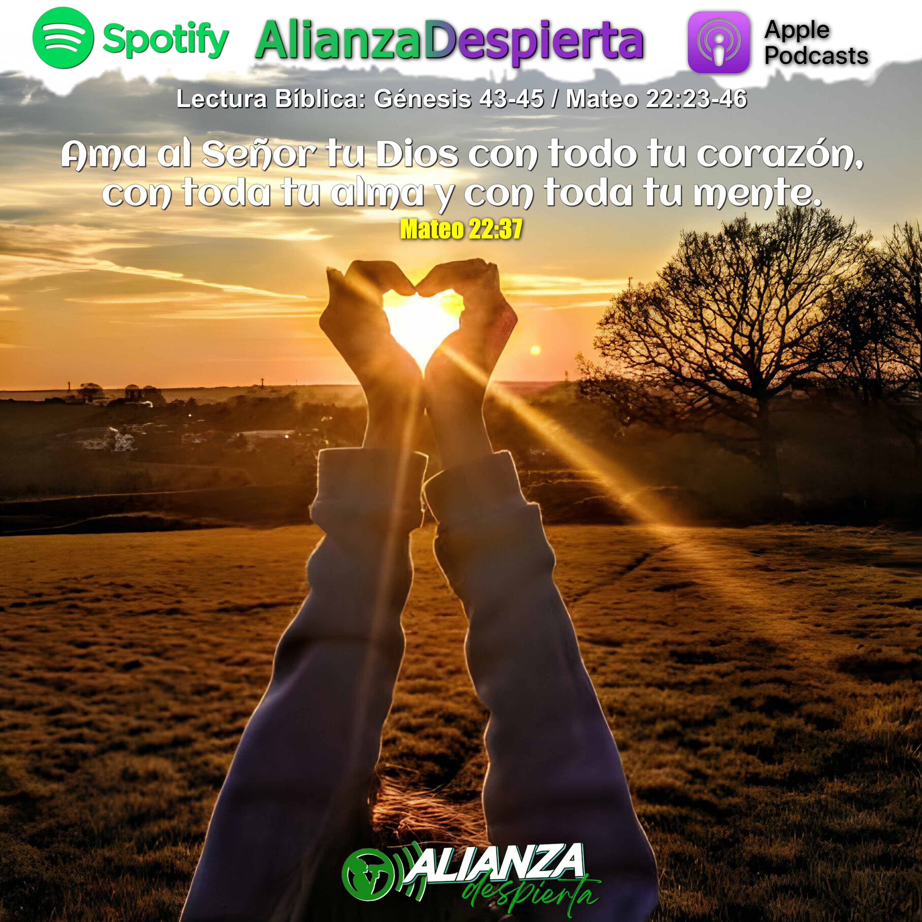AMOR SIN IGUAL - 04.02.24 episode artwork