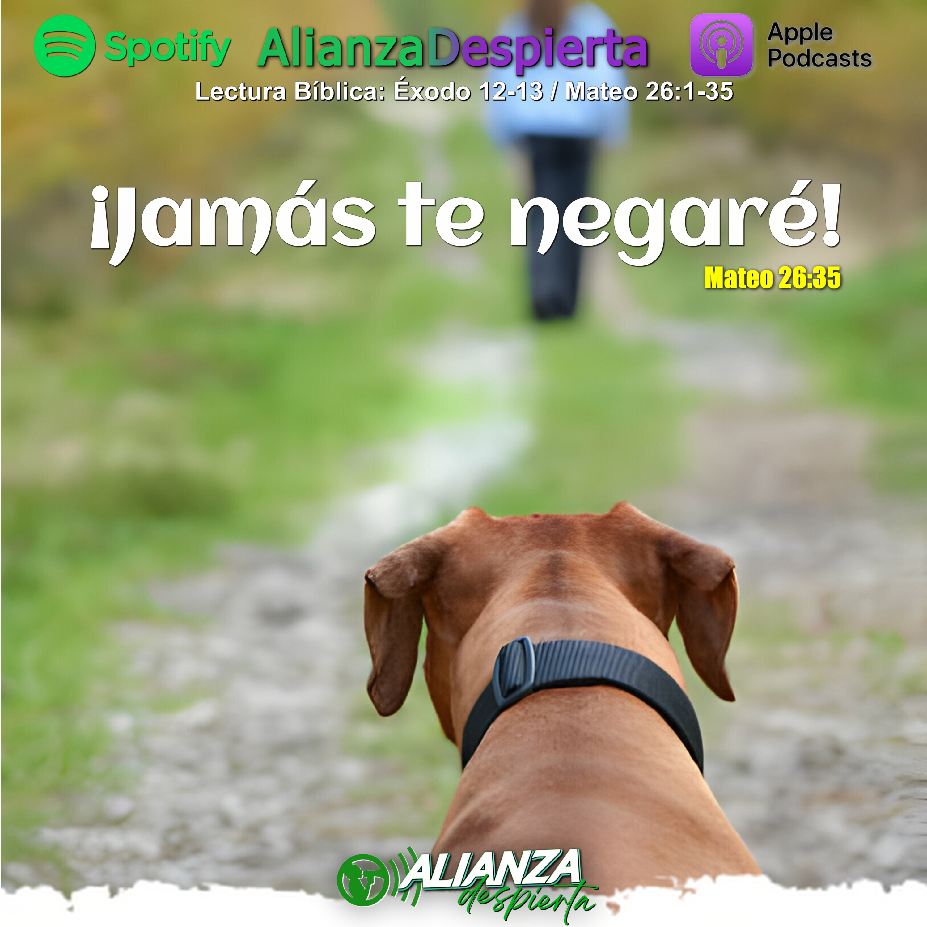 JAMÁS TE NEGARÉ - 11/02/2024 episode artwork