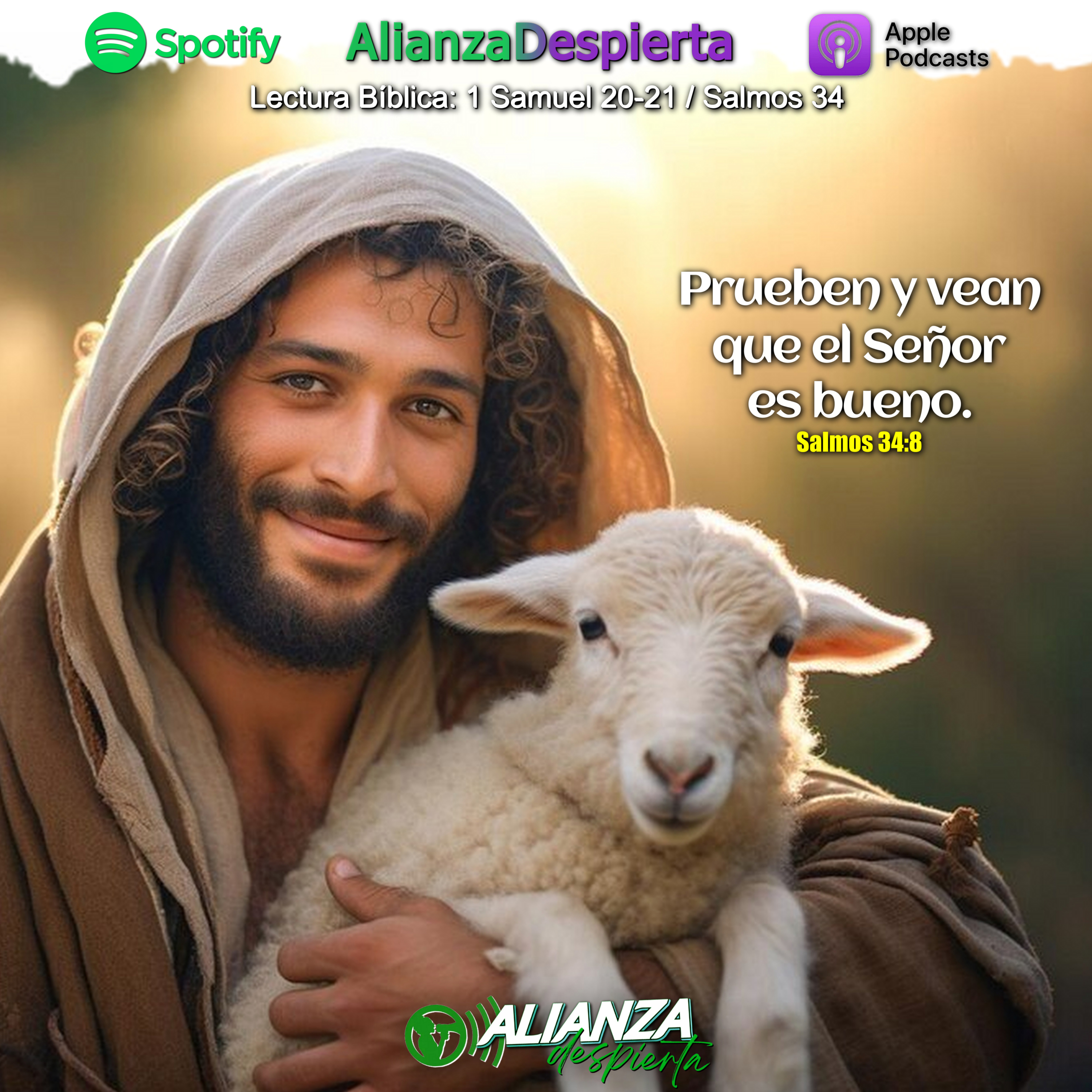 PROBAR A DIOS - 02.05.24 episode artwork