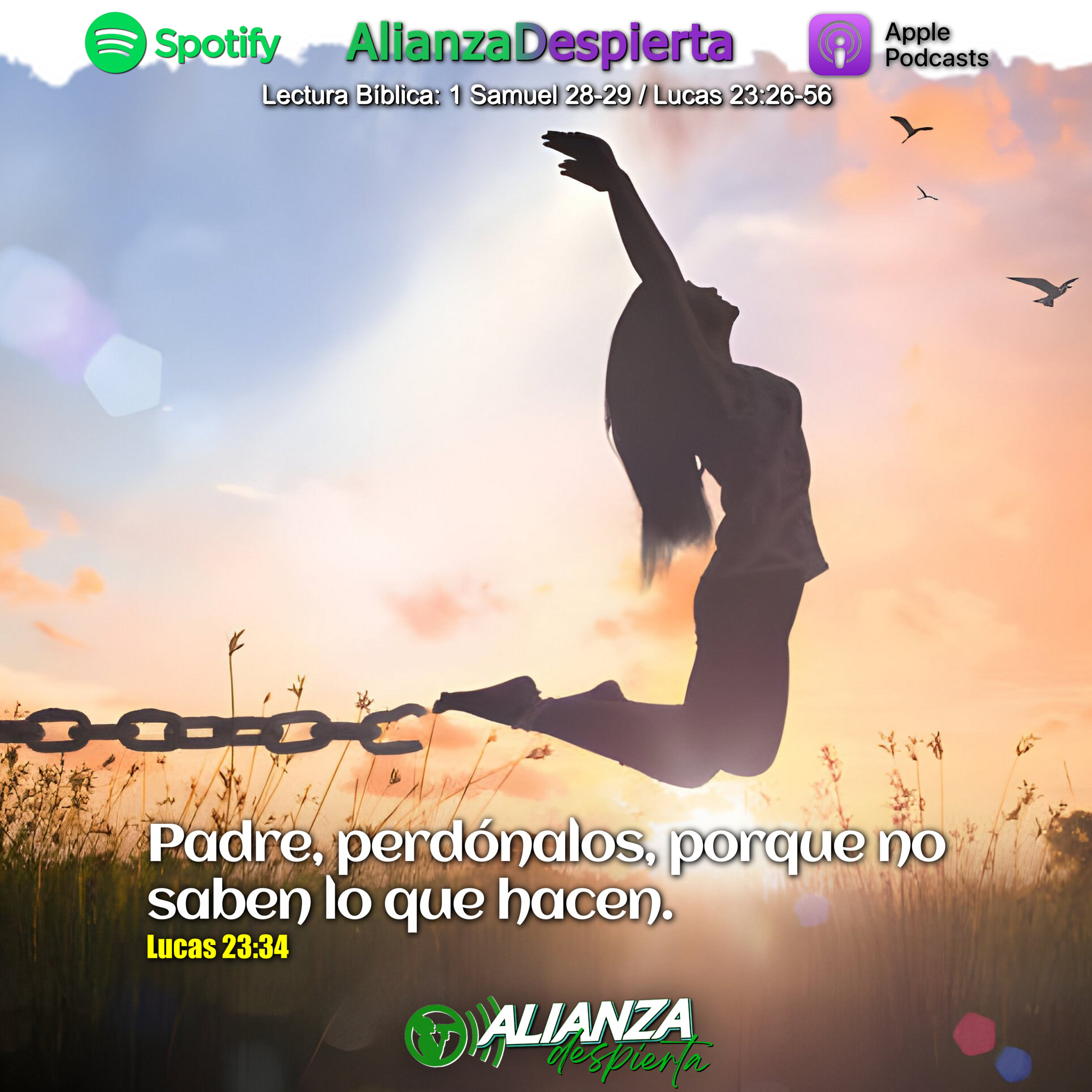 PERDÓNALOS - 07.05.24 episode artwork