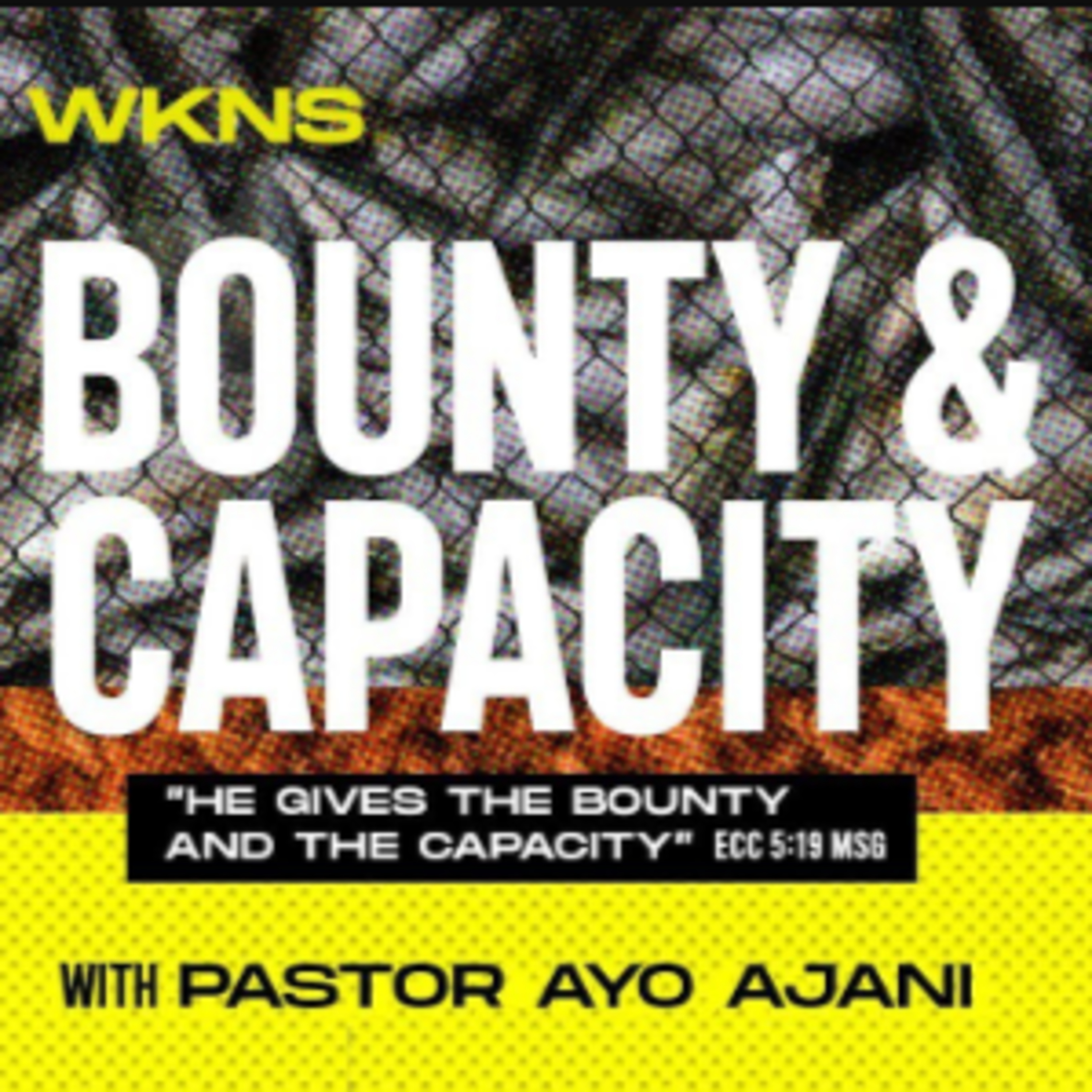 He Gives The Bounty & The Capacity episode artwork