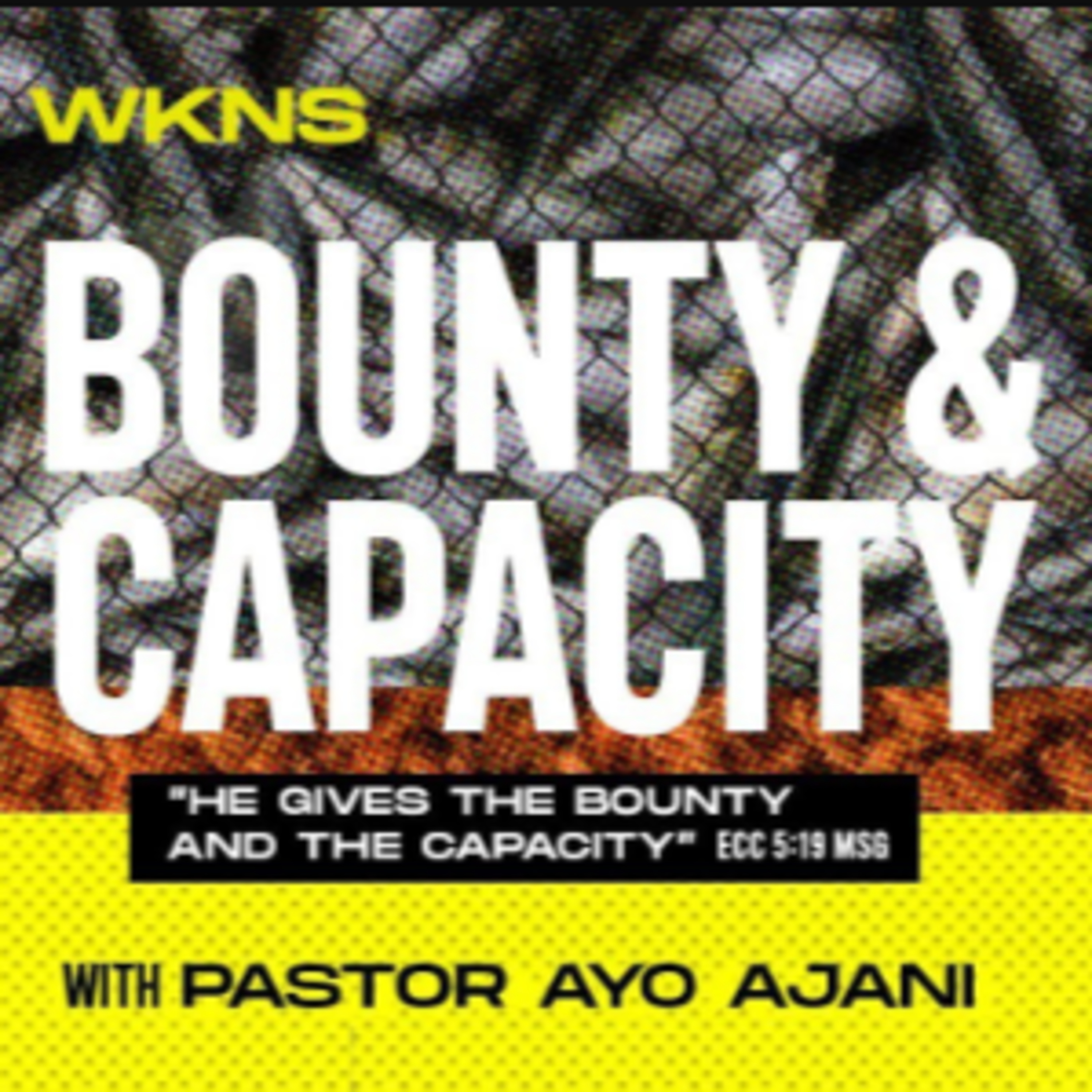 He Gives The Bounty & The Capacity II episode artwork