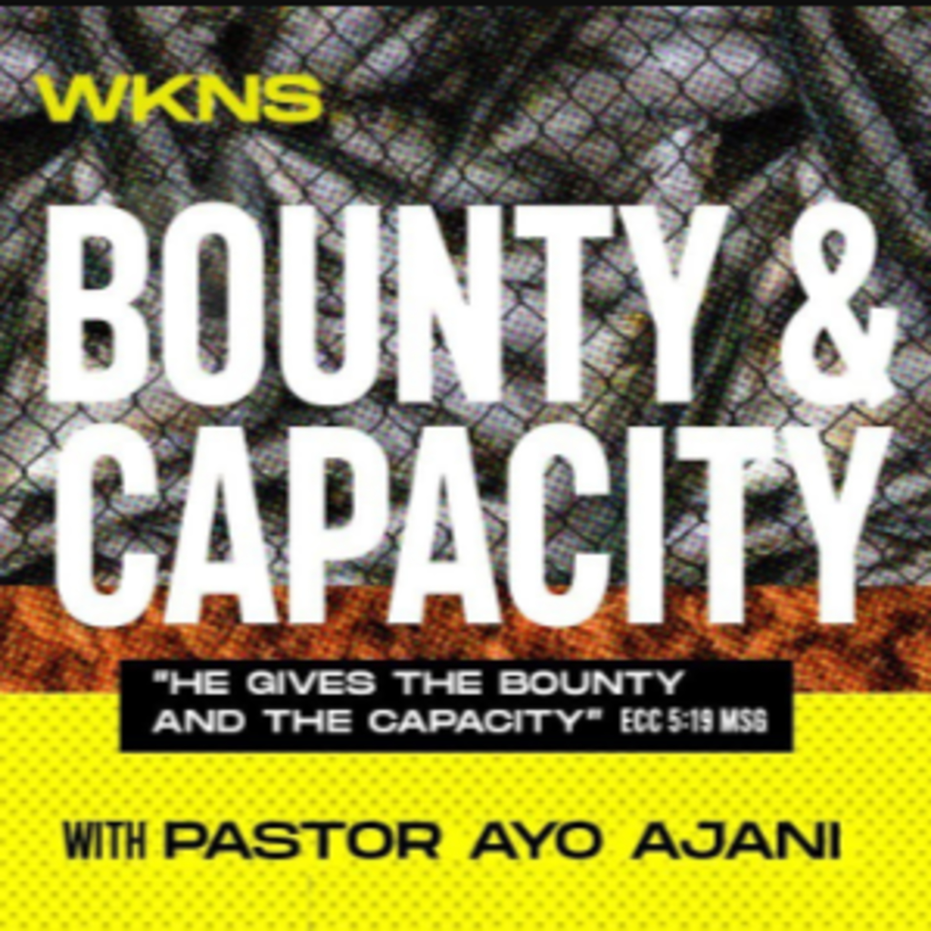 He Gives The Bounty & The Capacity III episode artwork