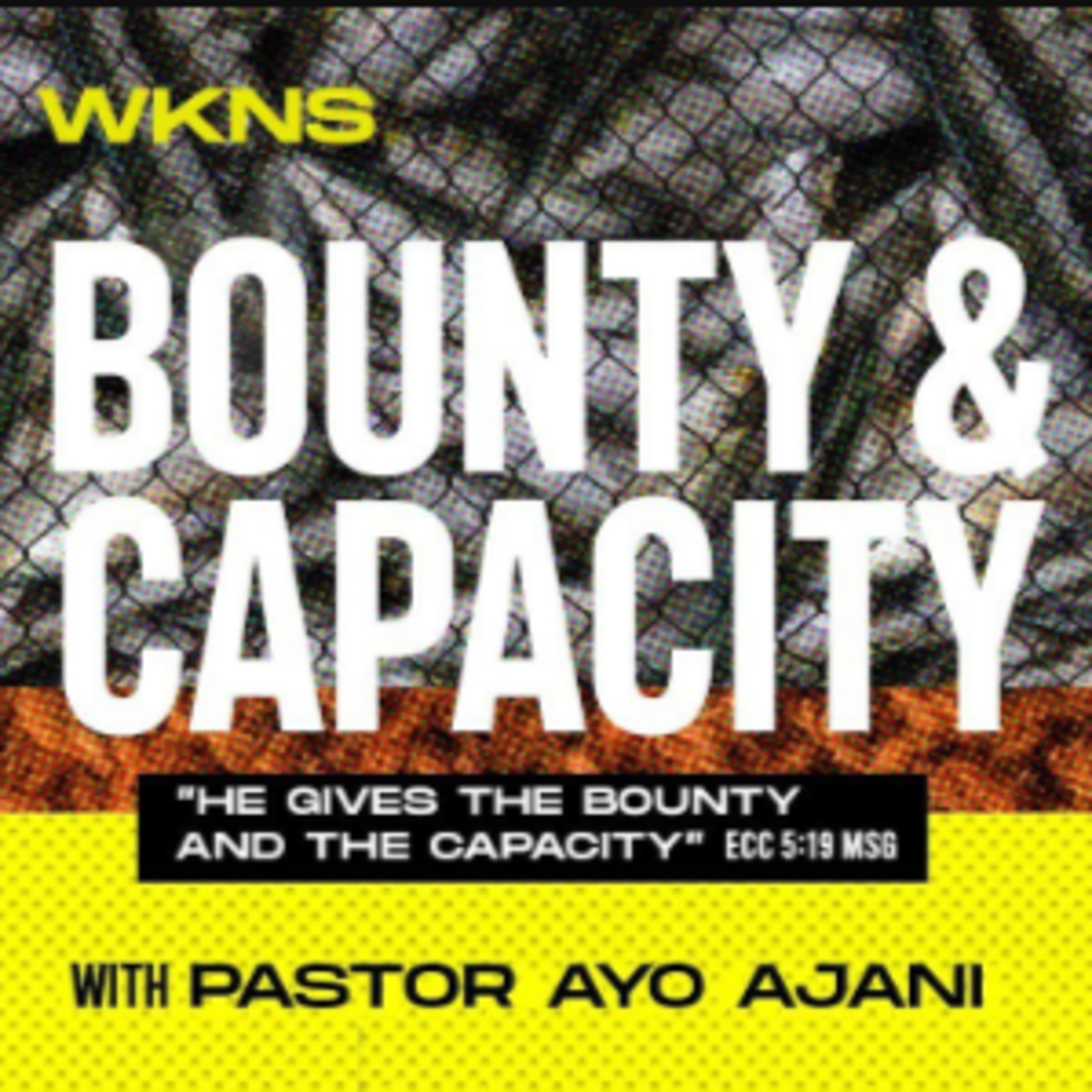 He Gives The Bounty & The Capacity IV episode artwork