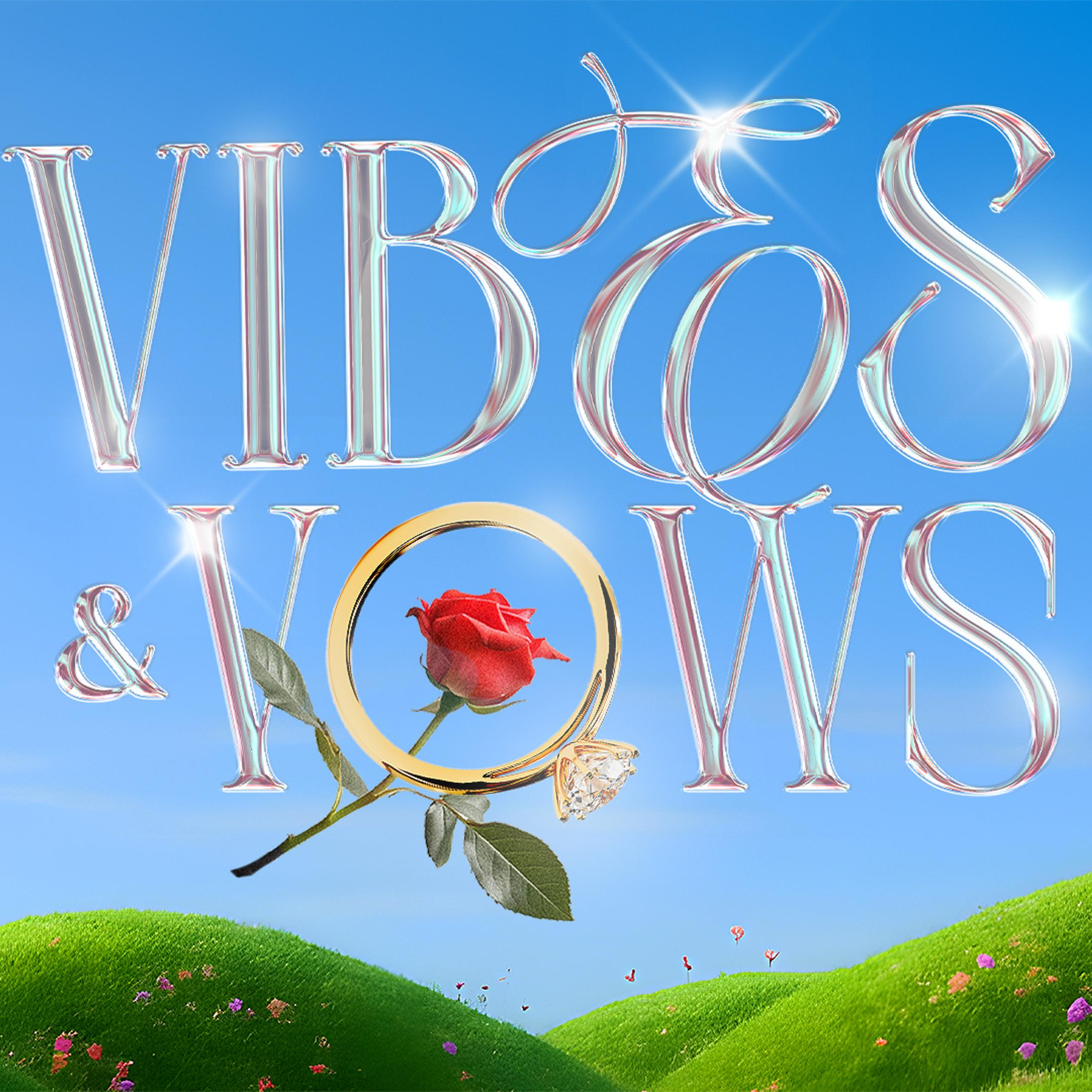 VIBES & VOW - A Relationship & Marriage Teaching Series (Ikeja)  episode artwork