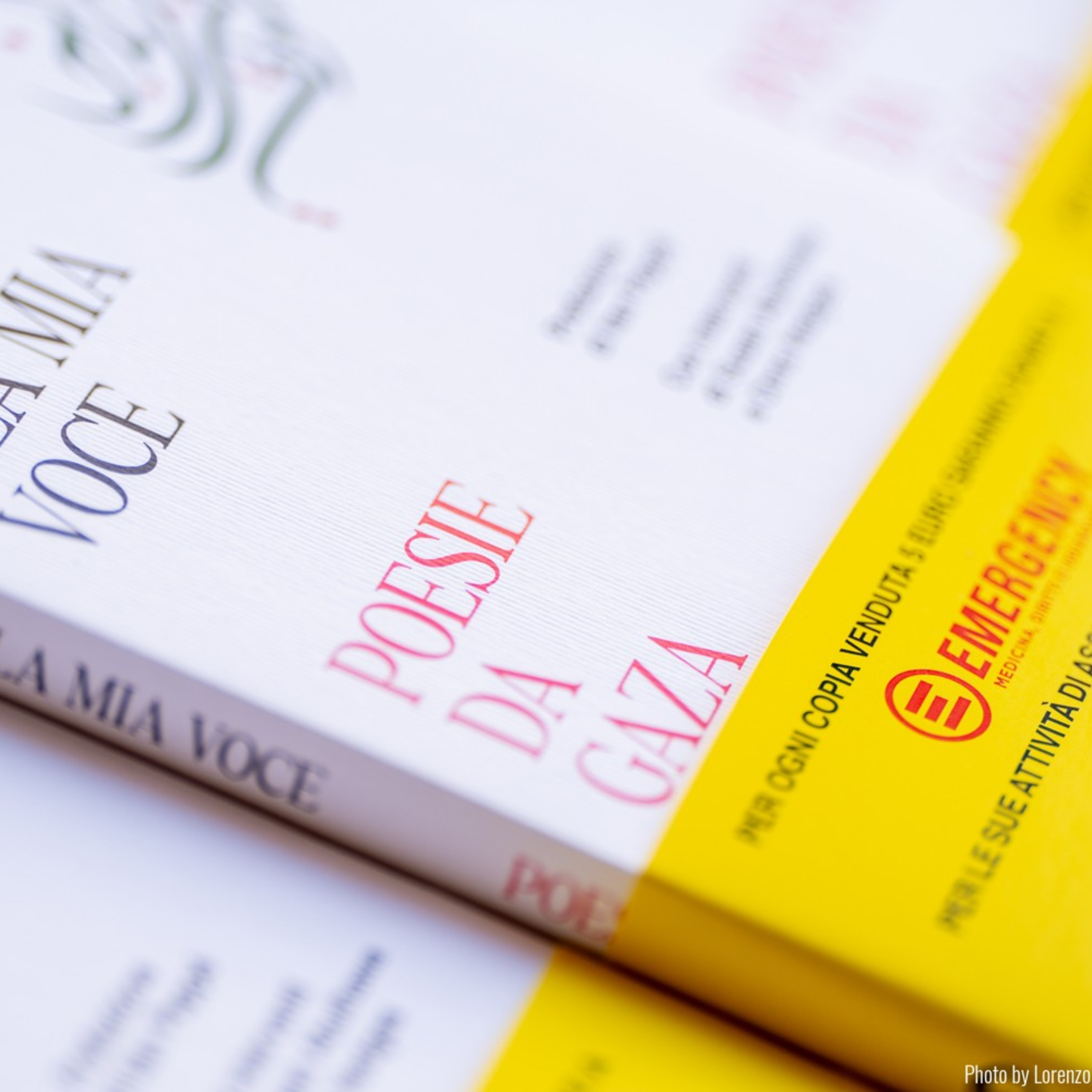 Festival vicino/lontano - Premio Terzani