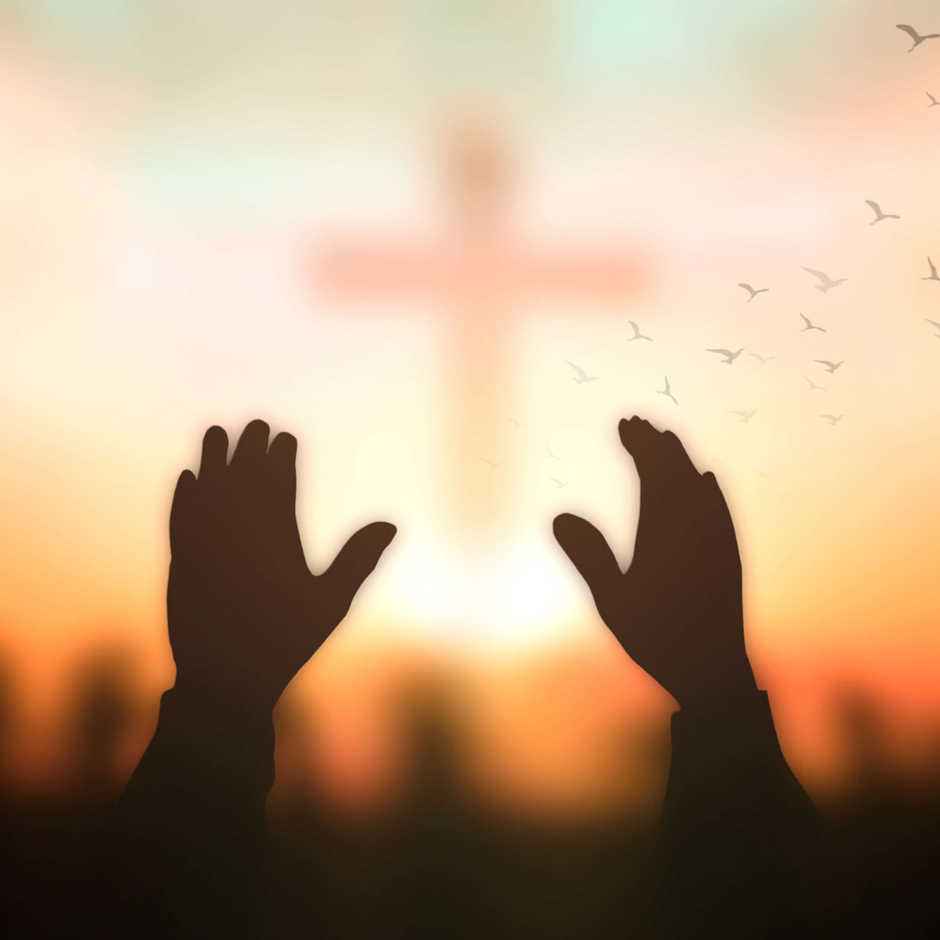 Reflexão da Biblia