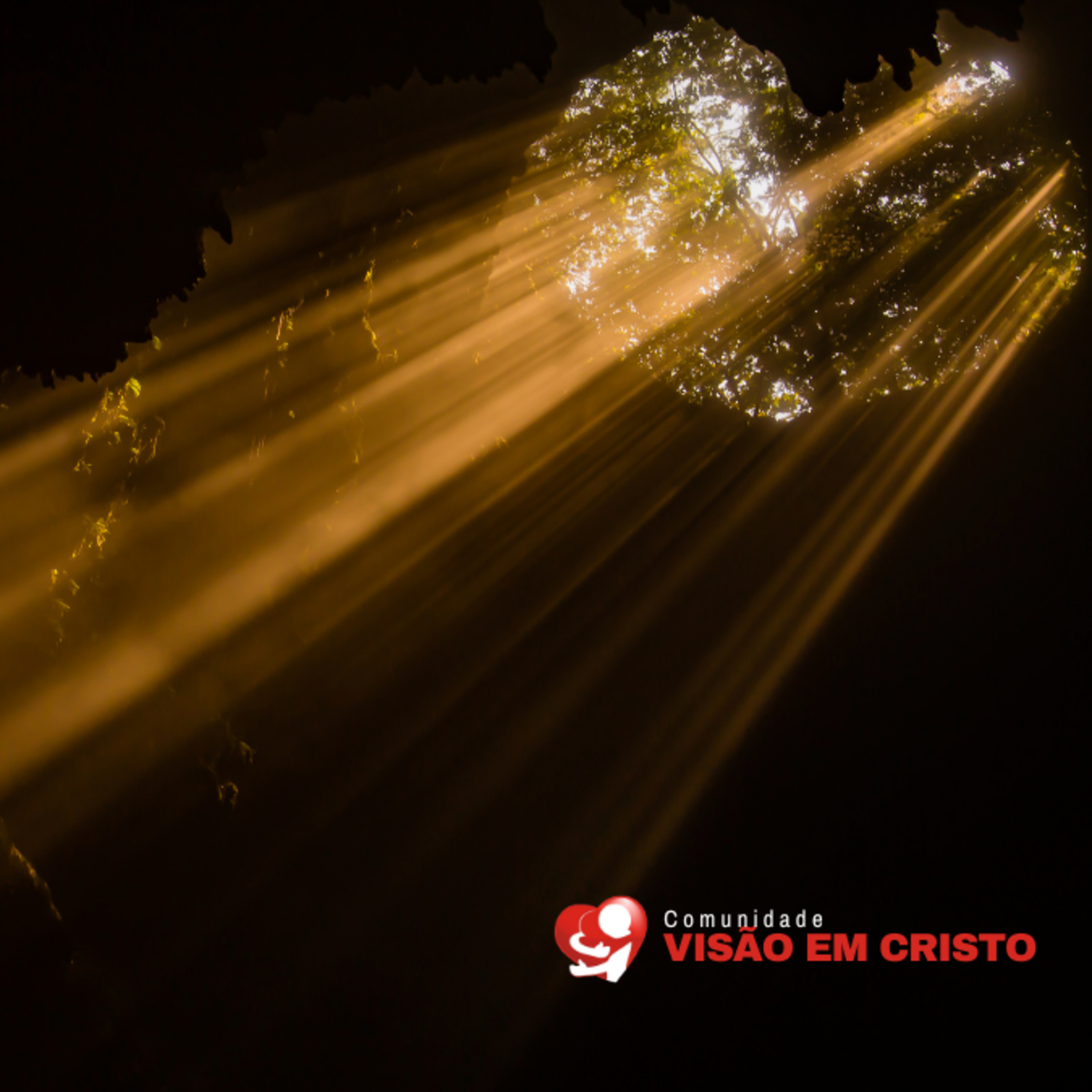 Reflexão da Biblia