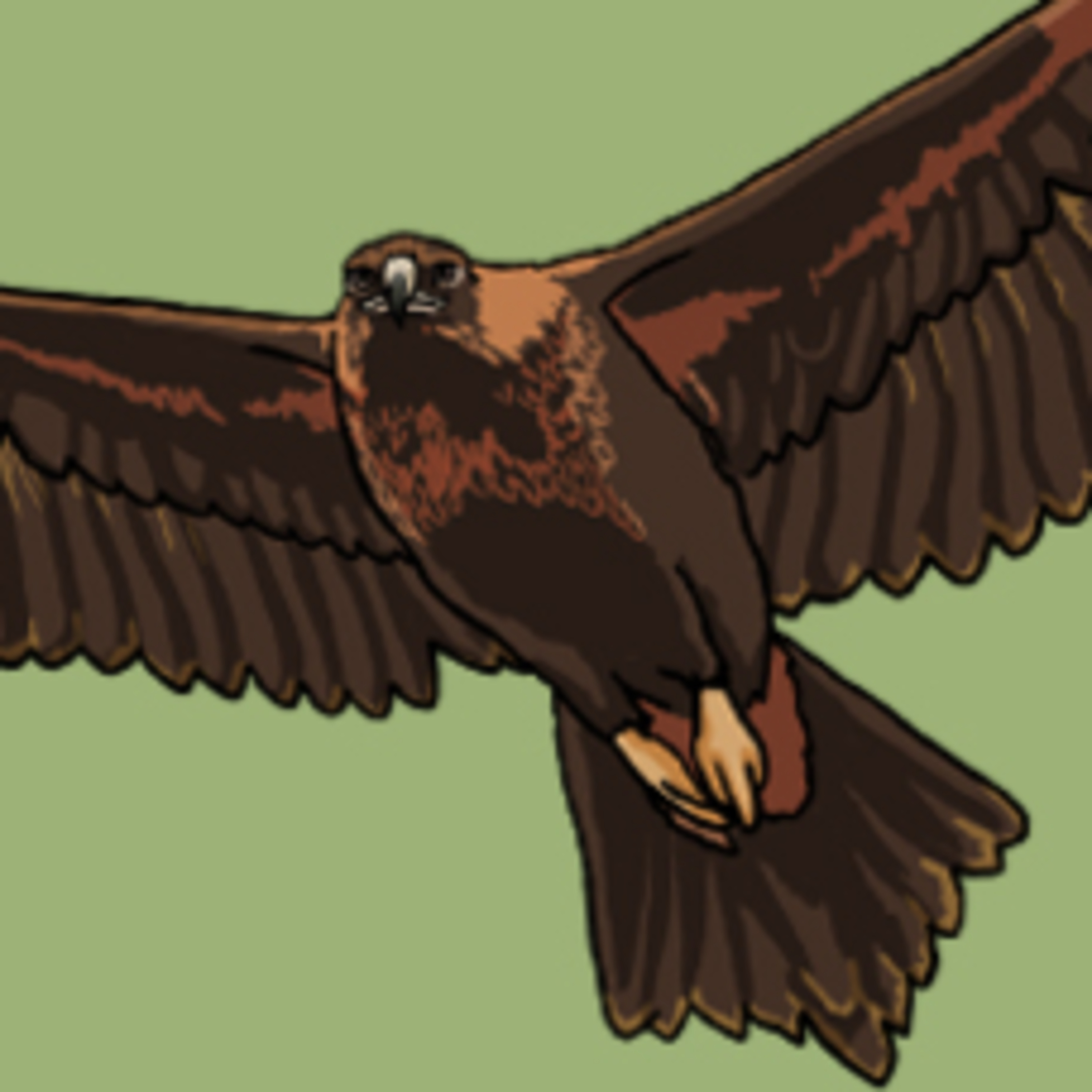 The Natural History Cupboard Podcast