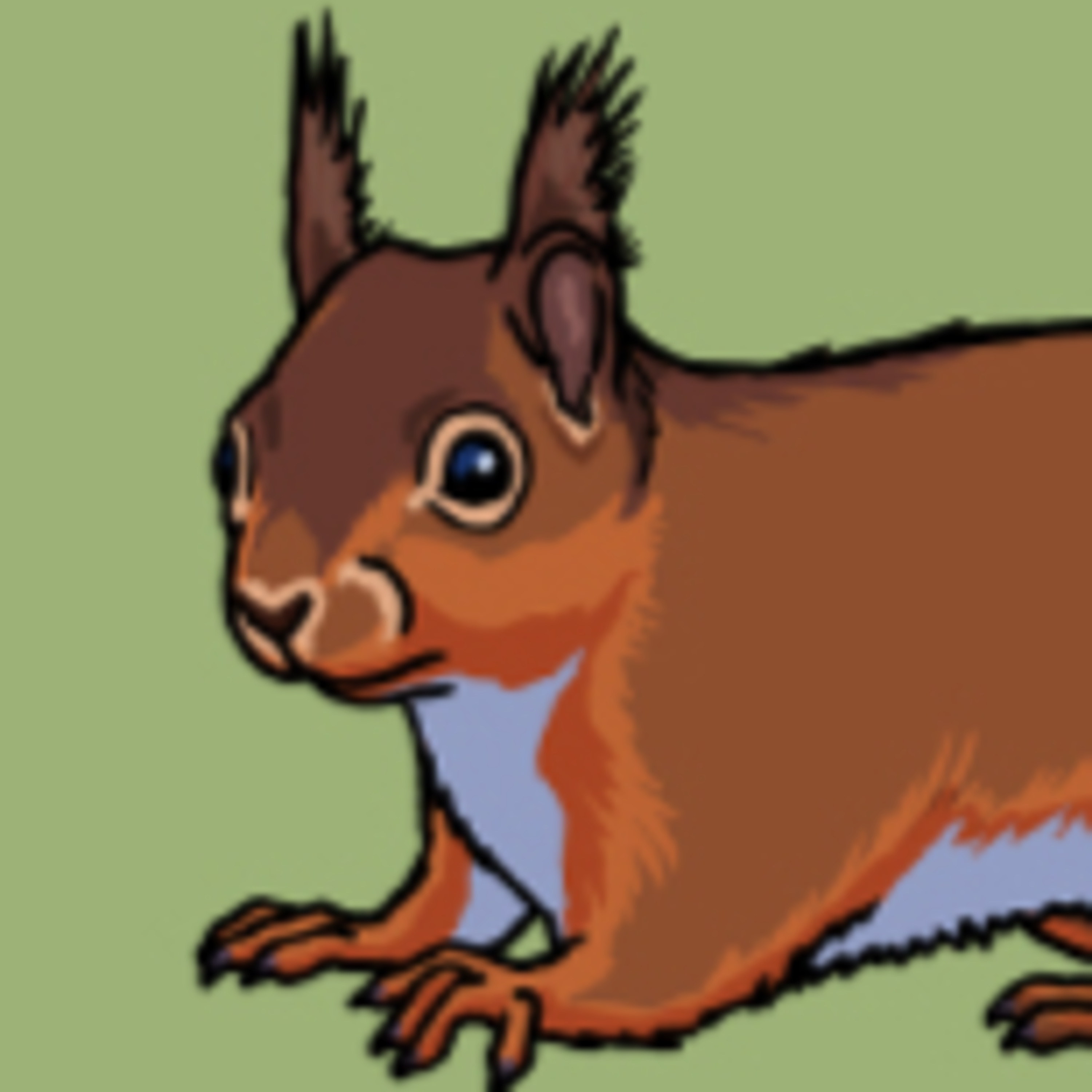A rare red rodent  episode artwork