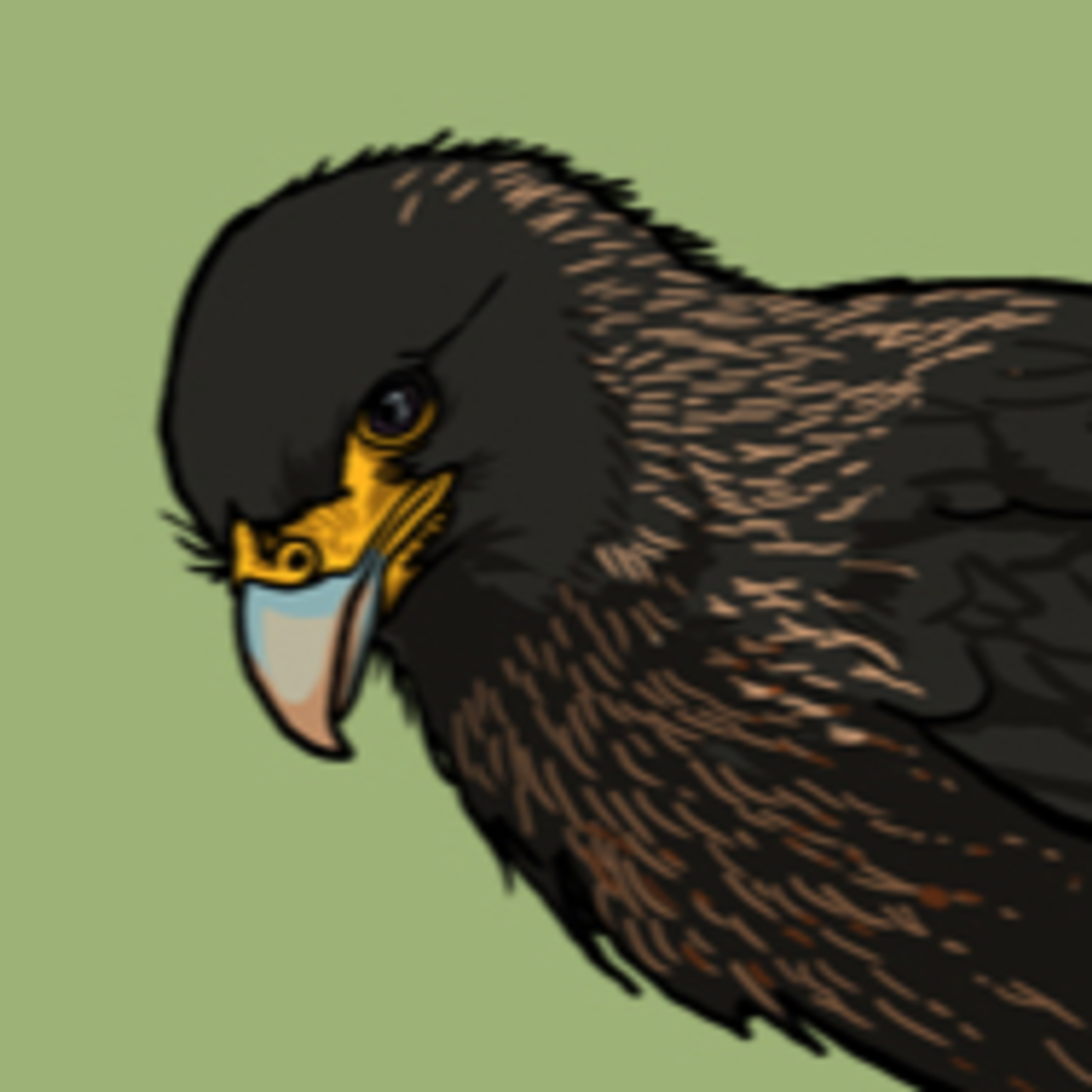 A raucous raptor  episode artwork