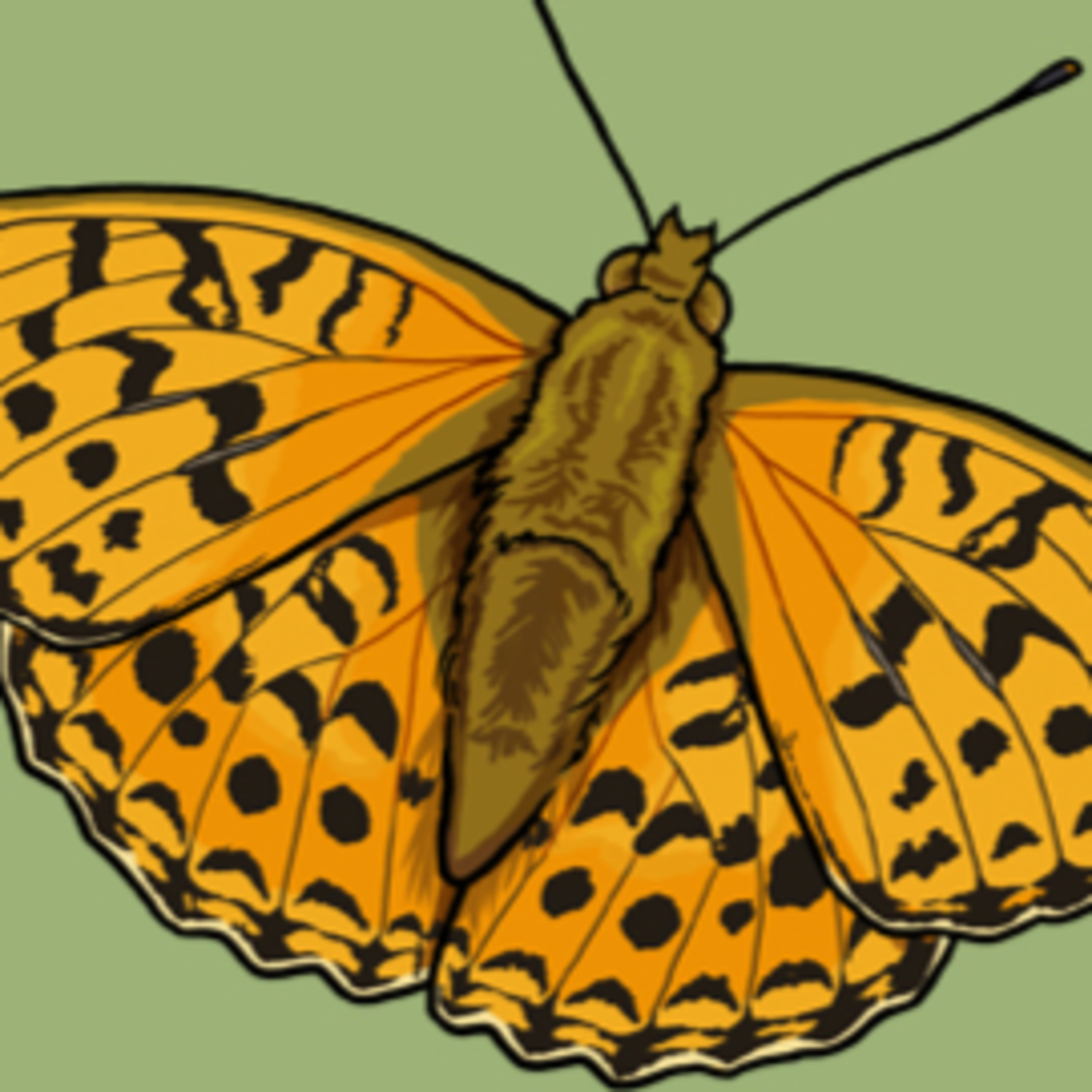 A highly rare butterfly  episode artwork