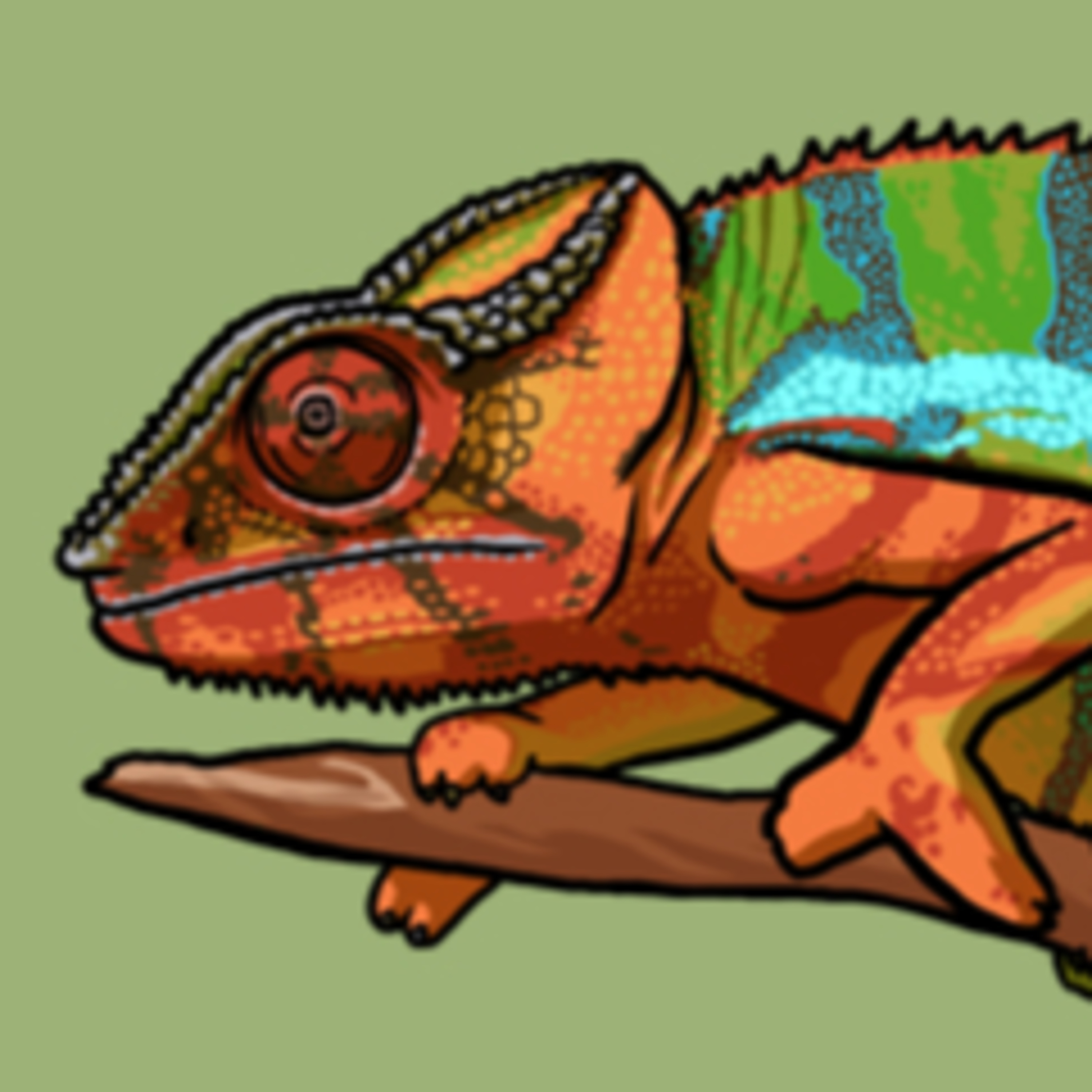A Reptilian Rainbow episode artwork