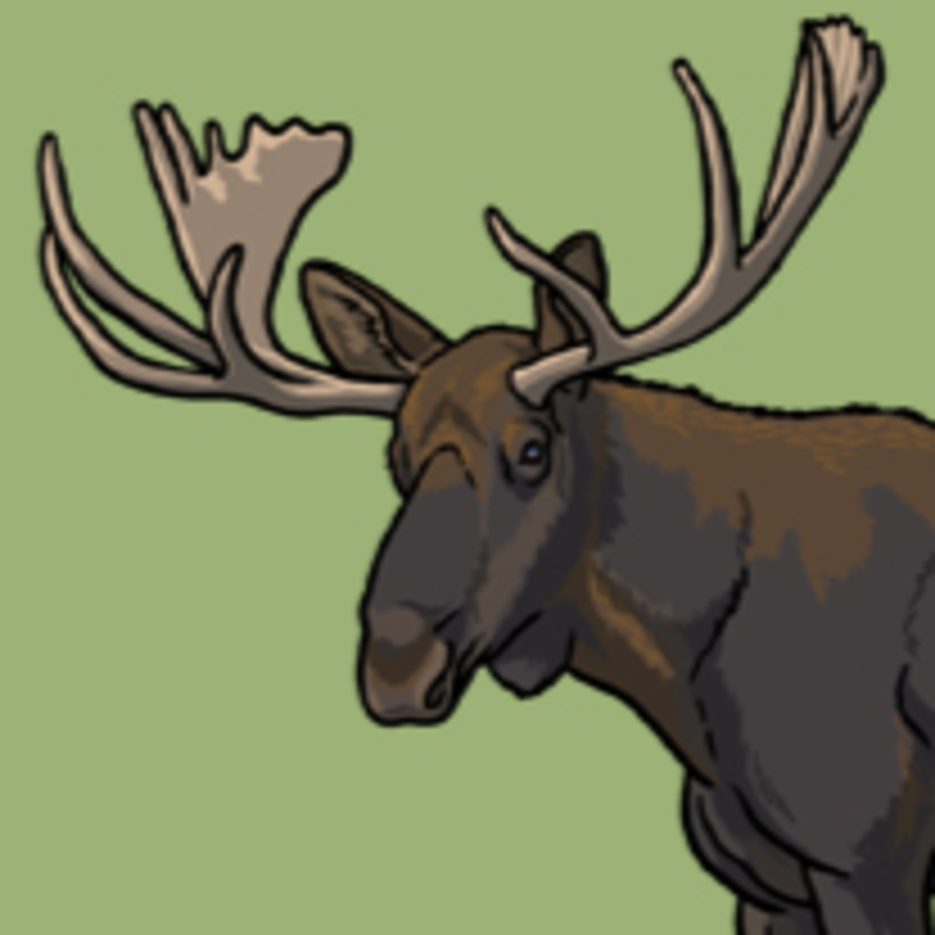 A Moose Loose Aboot This Hoose episode artwork